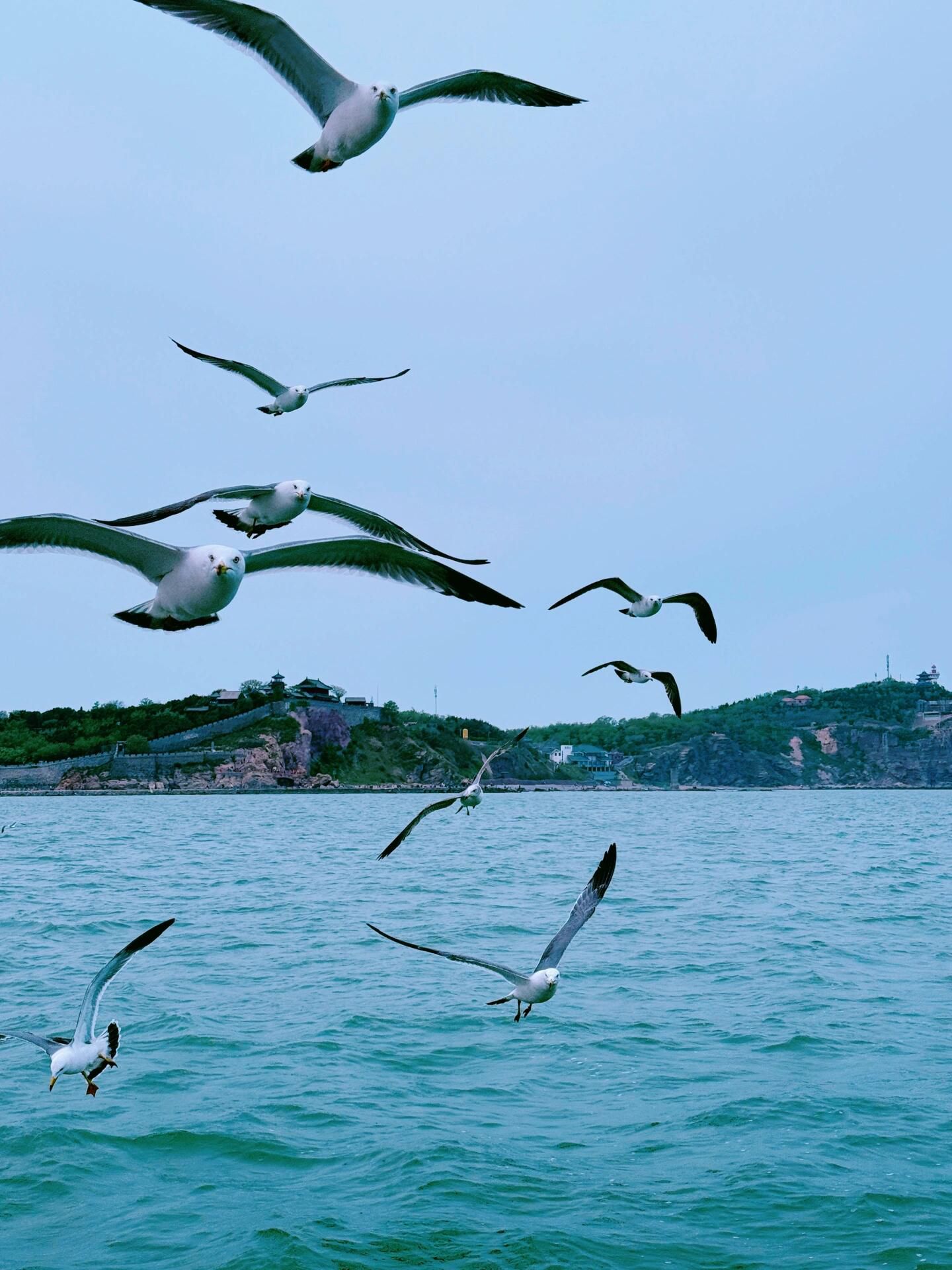 黄渤海分界线旅游风景区旅行图片 1