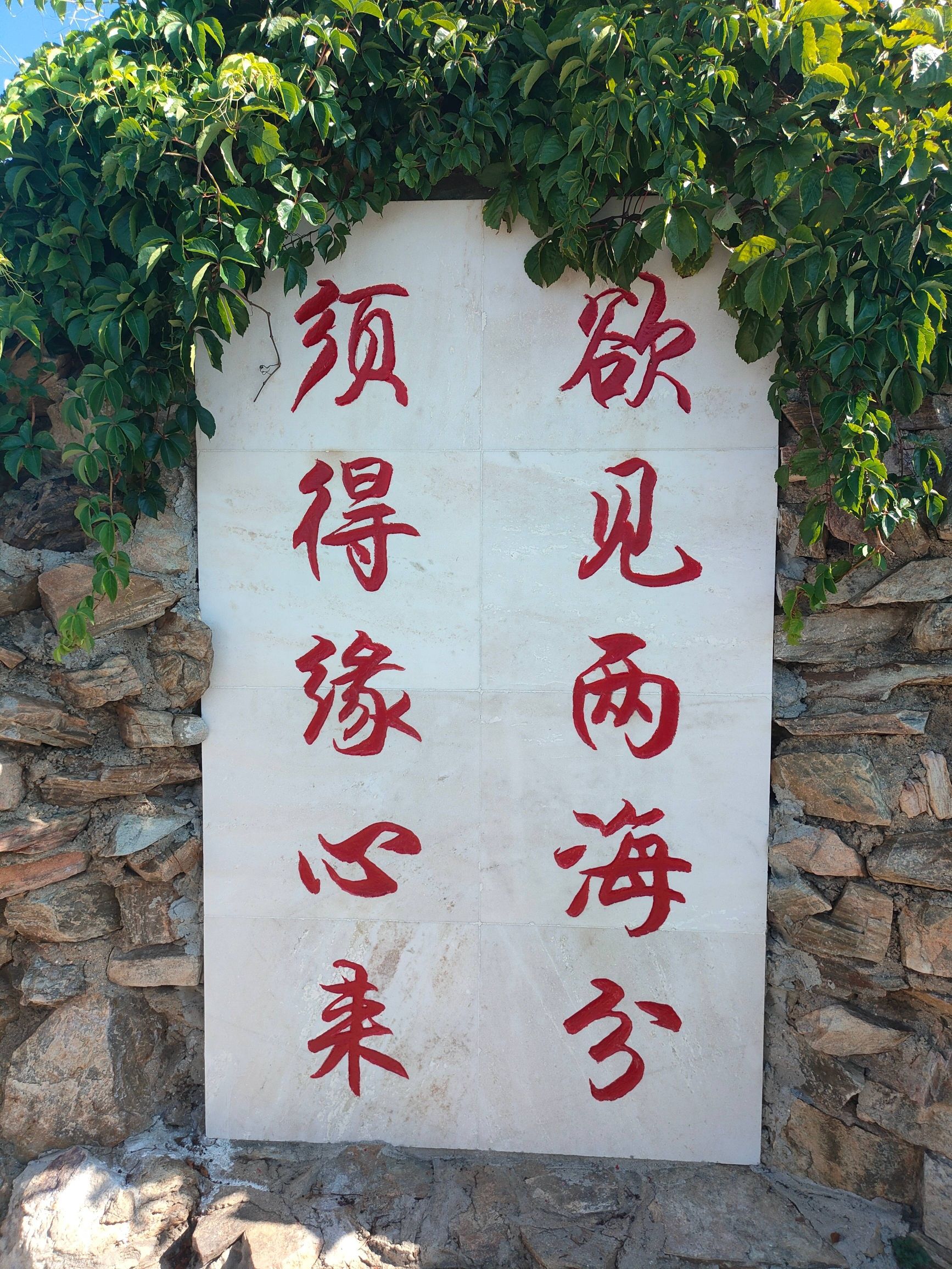 黄渤海分界线旅游风景区旅行图片 3
