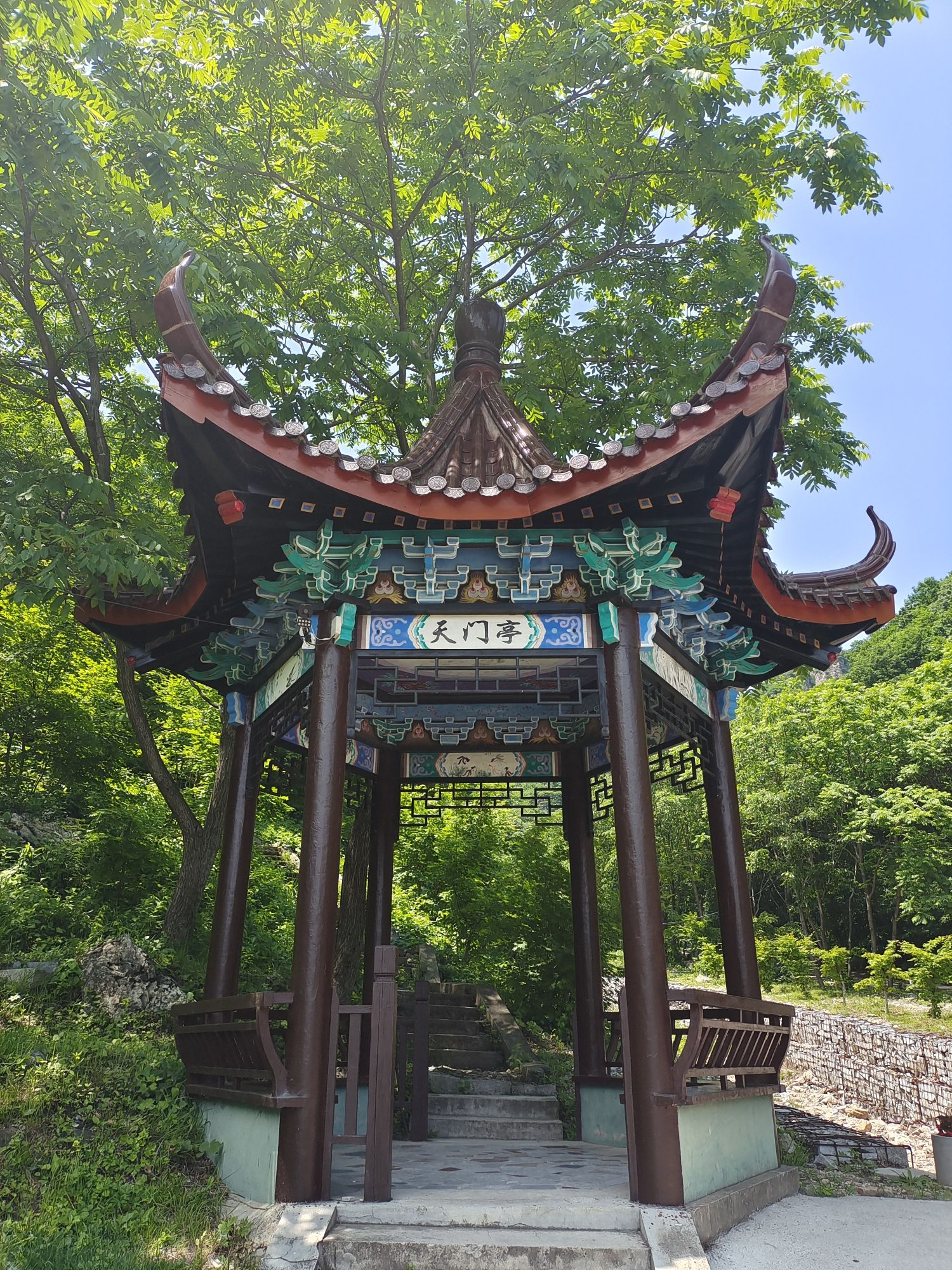 大连天门山国家森林公园(暂停开放)旅行图片 3