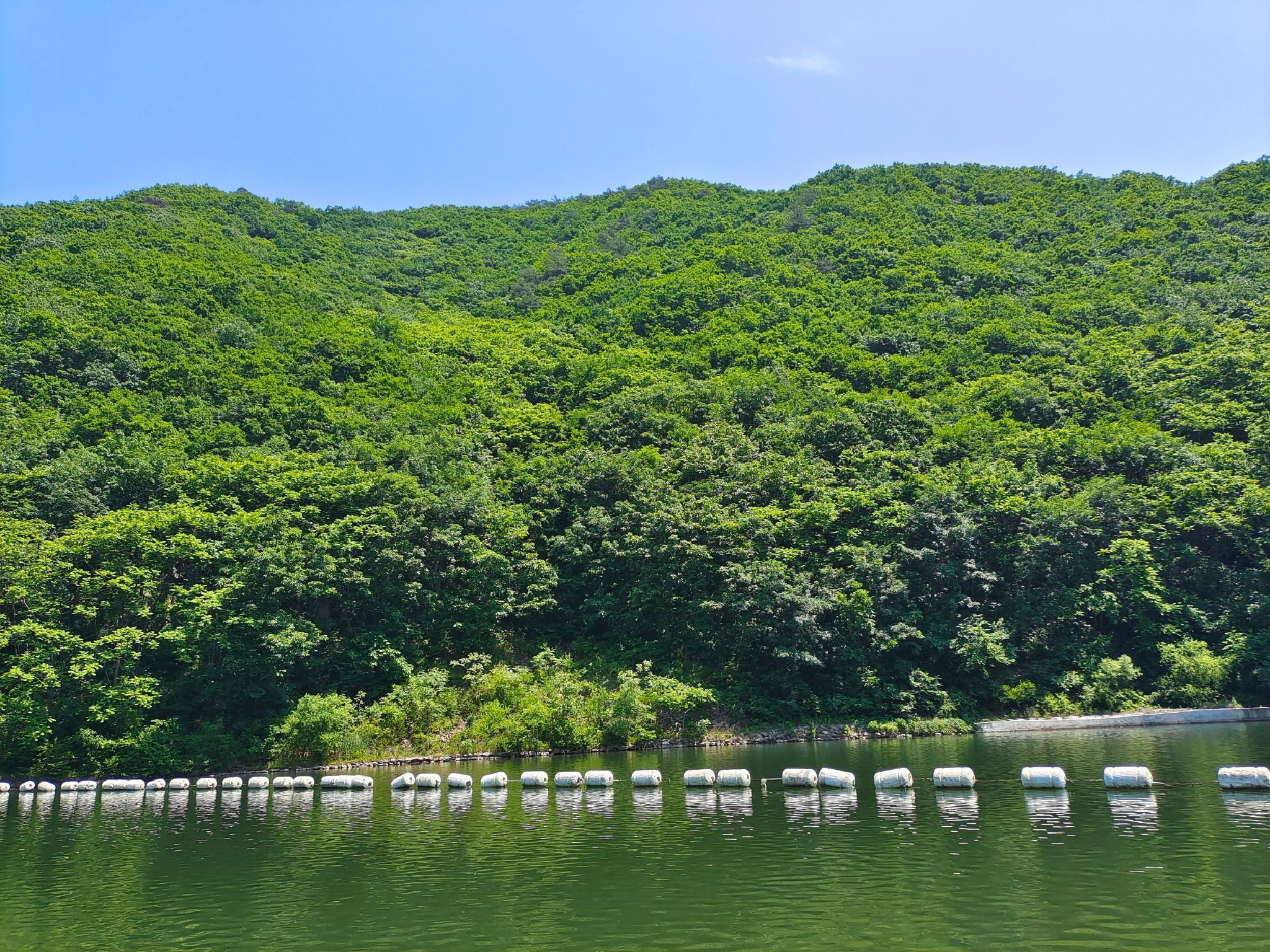 大连天门山国家森林公园(暂停开放)旅行图片 1