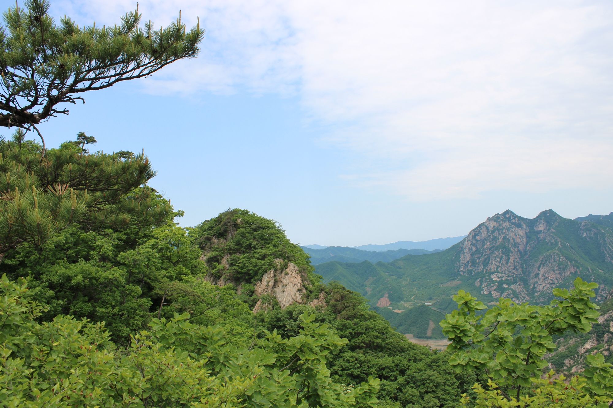 大连天门山国家森林公园(暂停开放)旅行图片 3