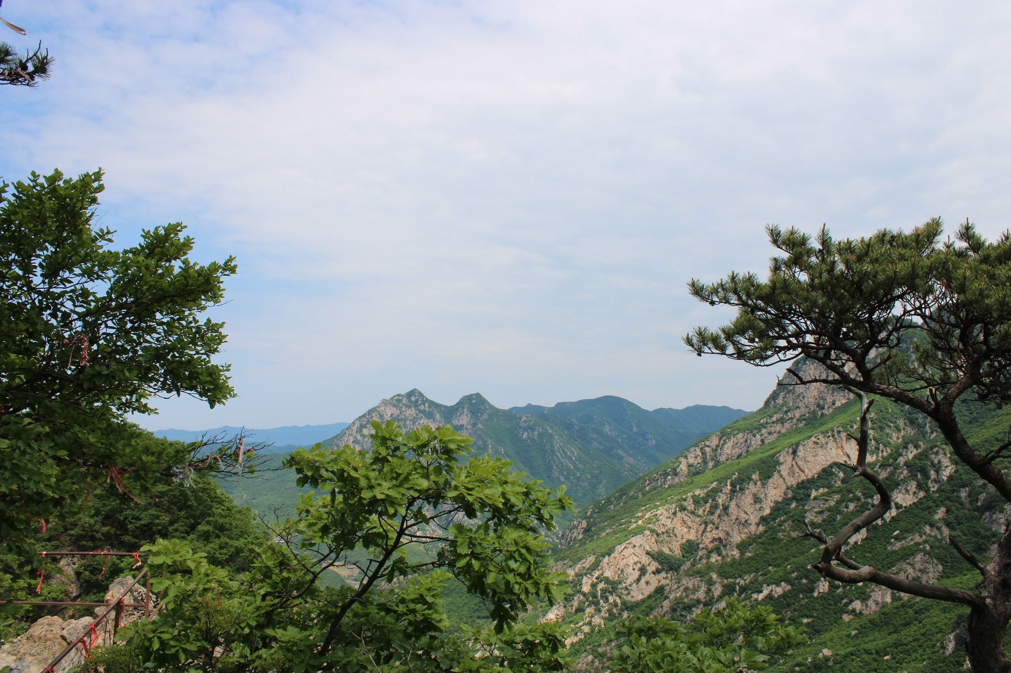 大连天门山国家森林公园(暂停开放)旅行图片 2