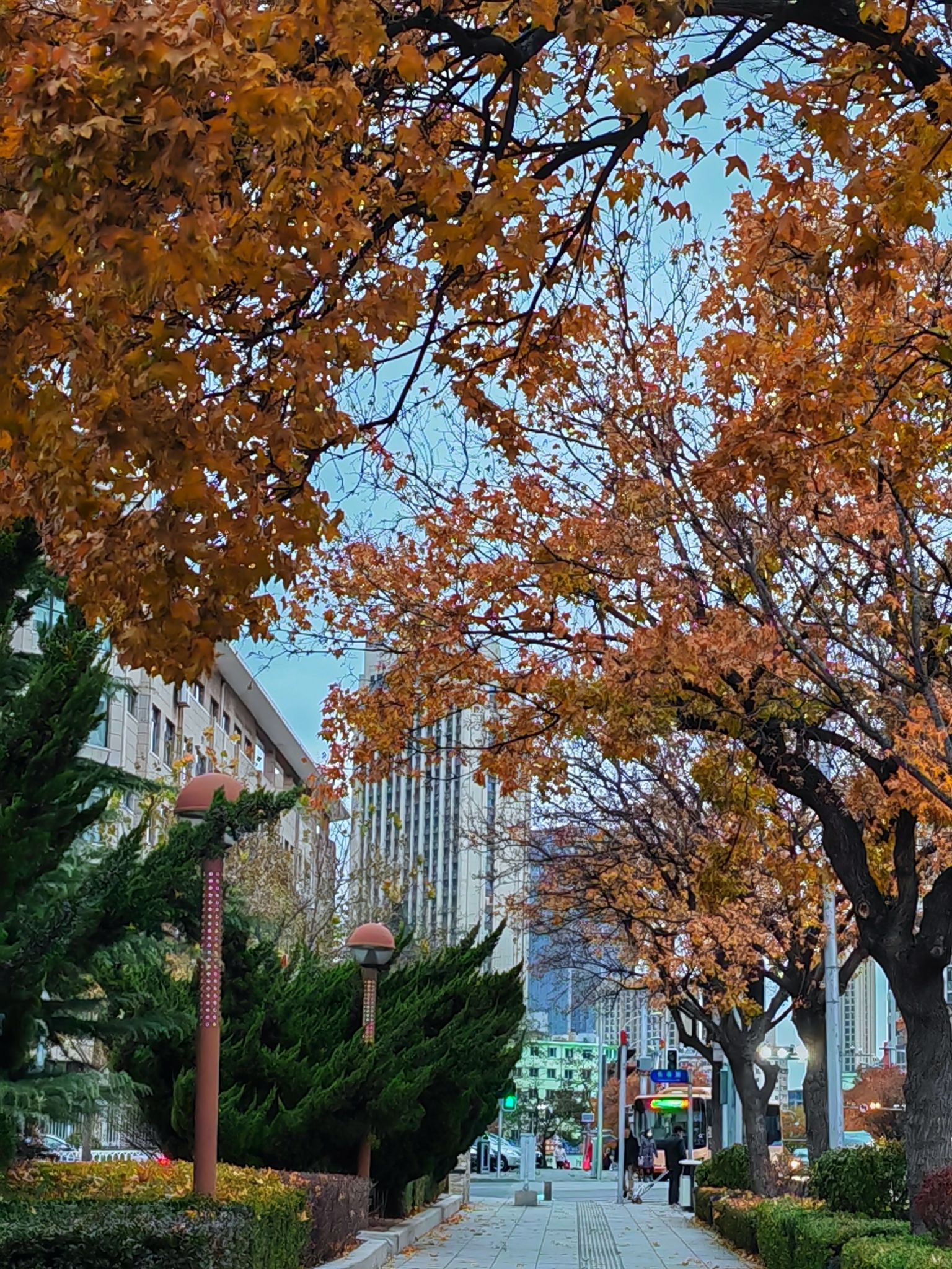 华府园旅行图片 2