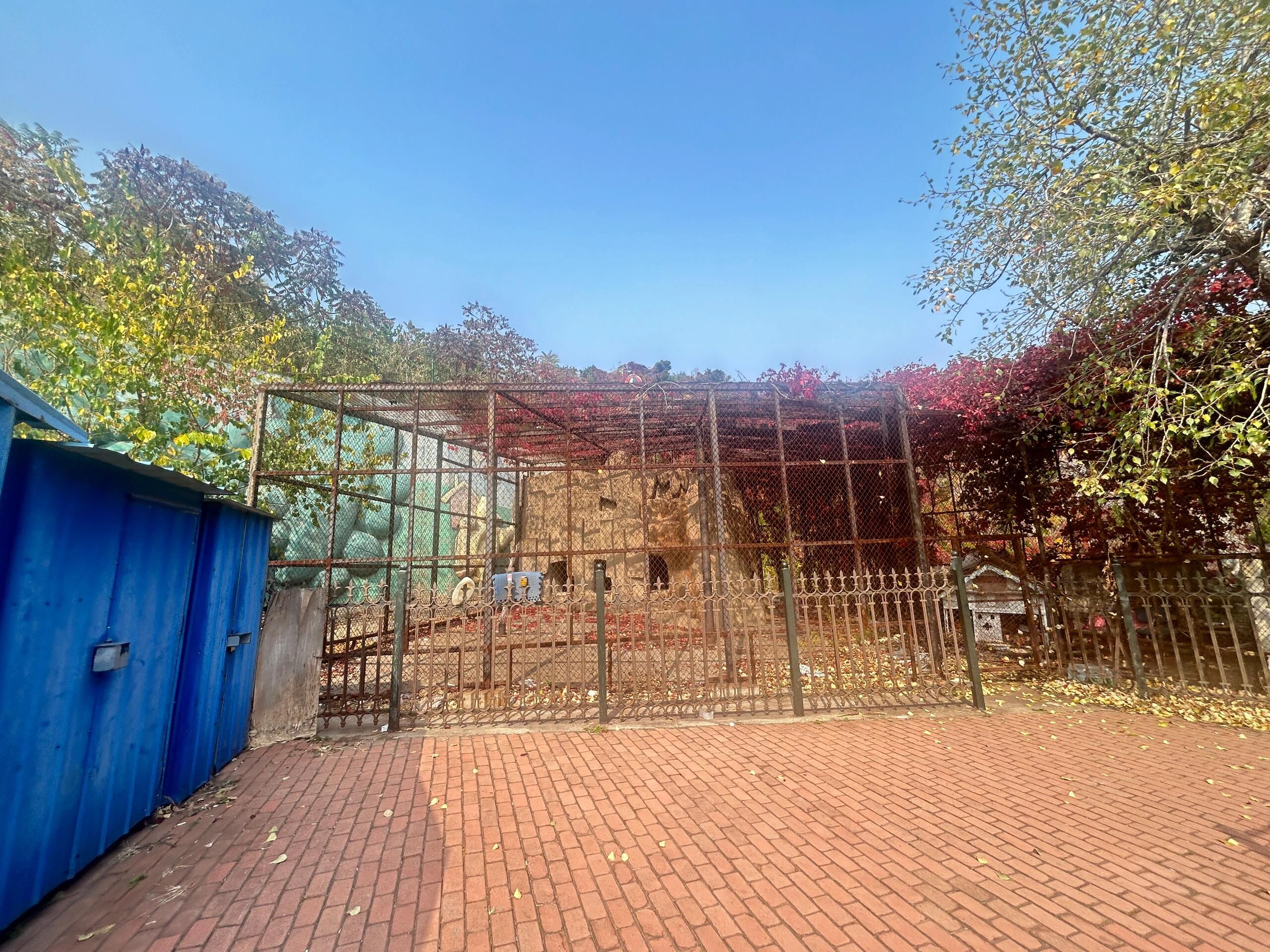 八一儿童公园旅行图片 3