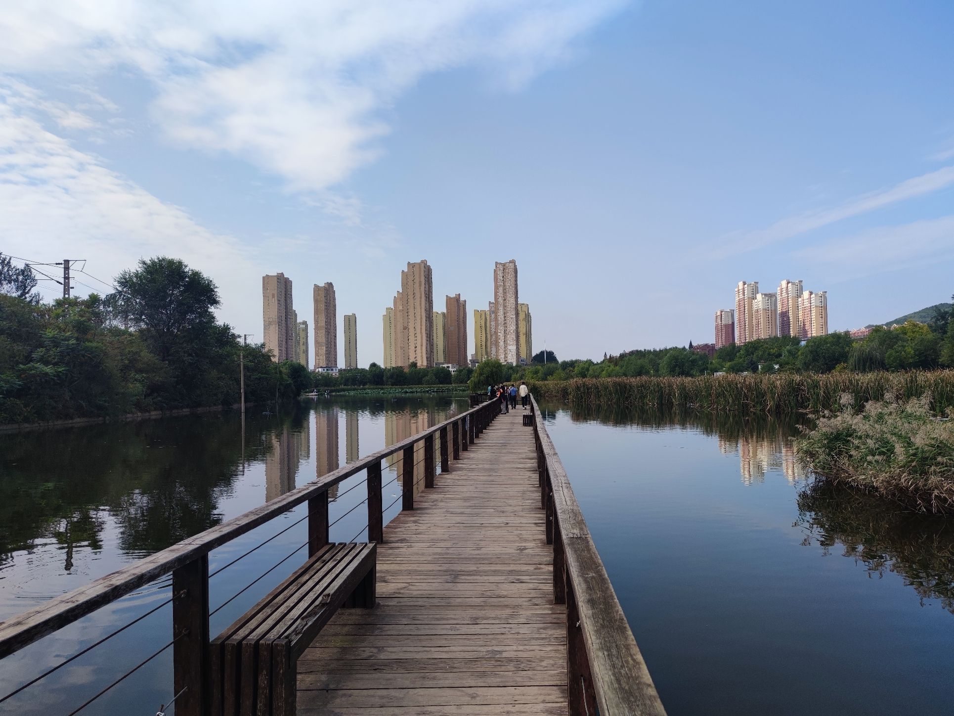 前关城市中央湿地公园旅行图片 3