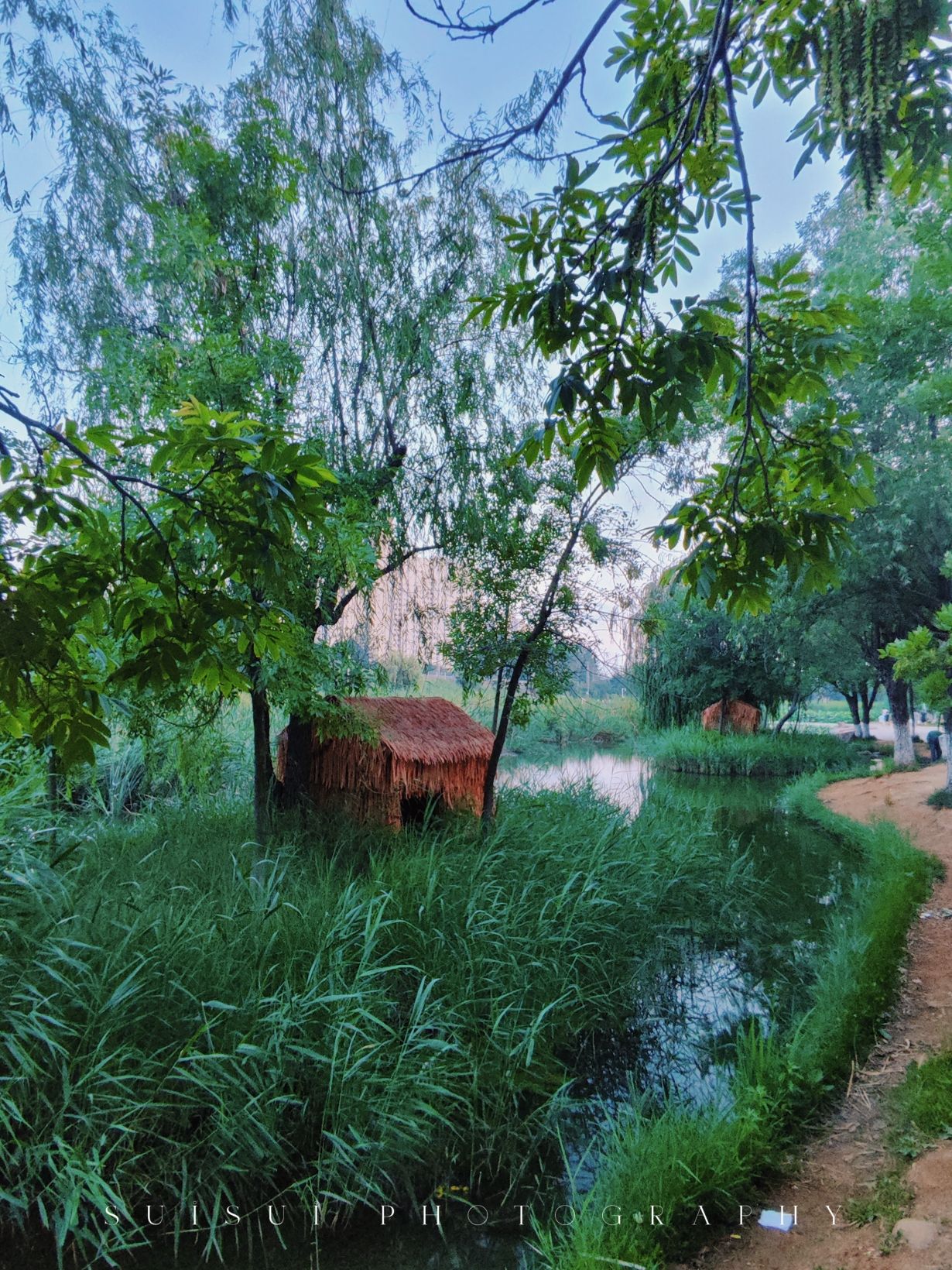 前关城市中央湿地公园旅行图片 2