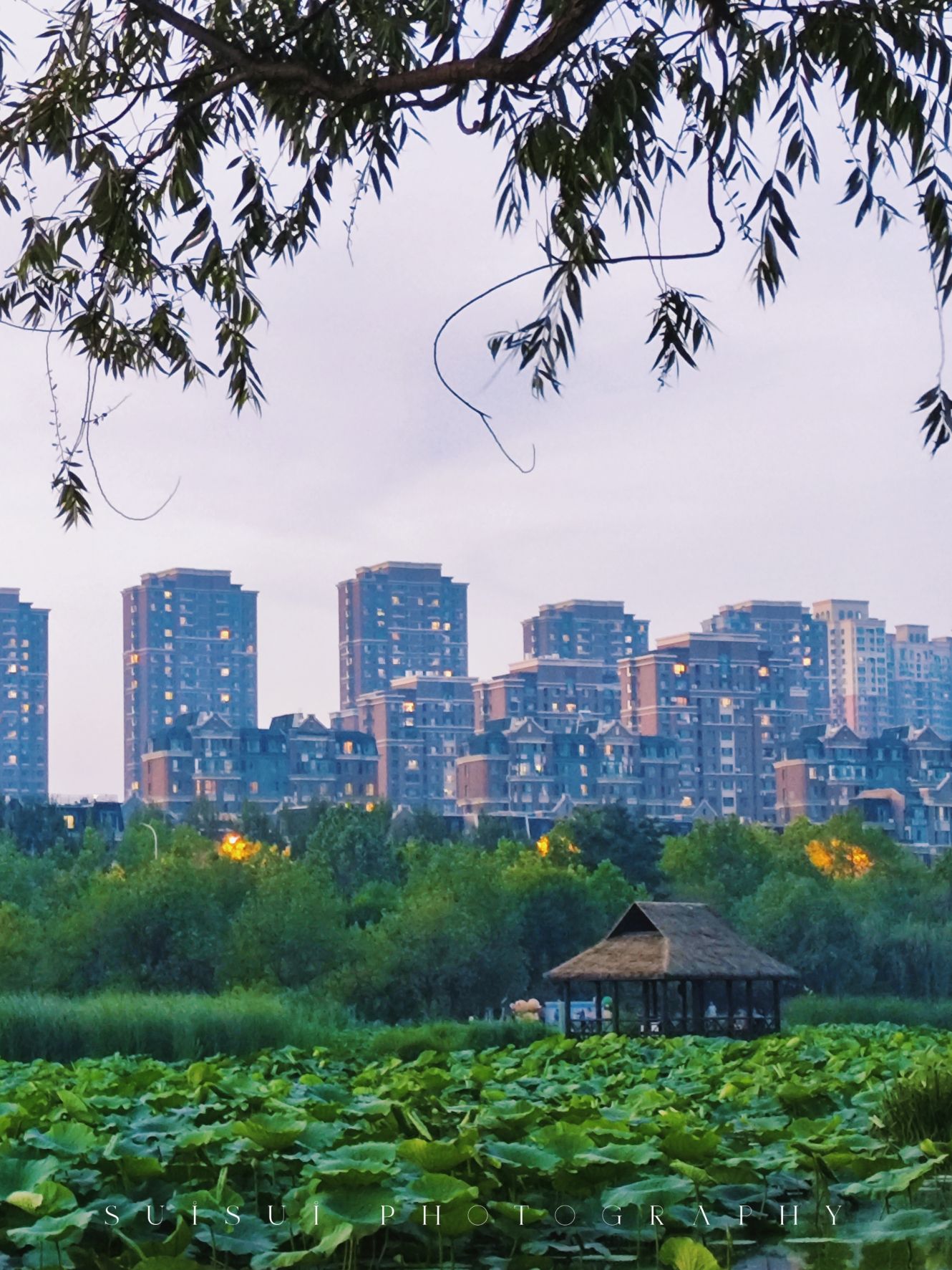 前关城市中央湿地公园旅行图片 1