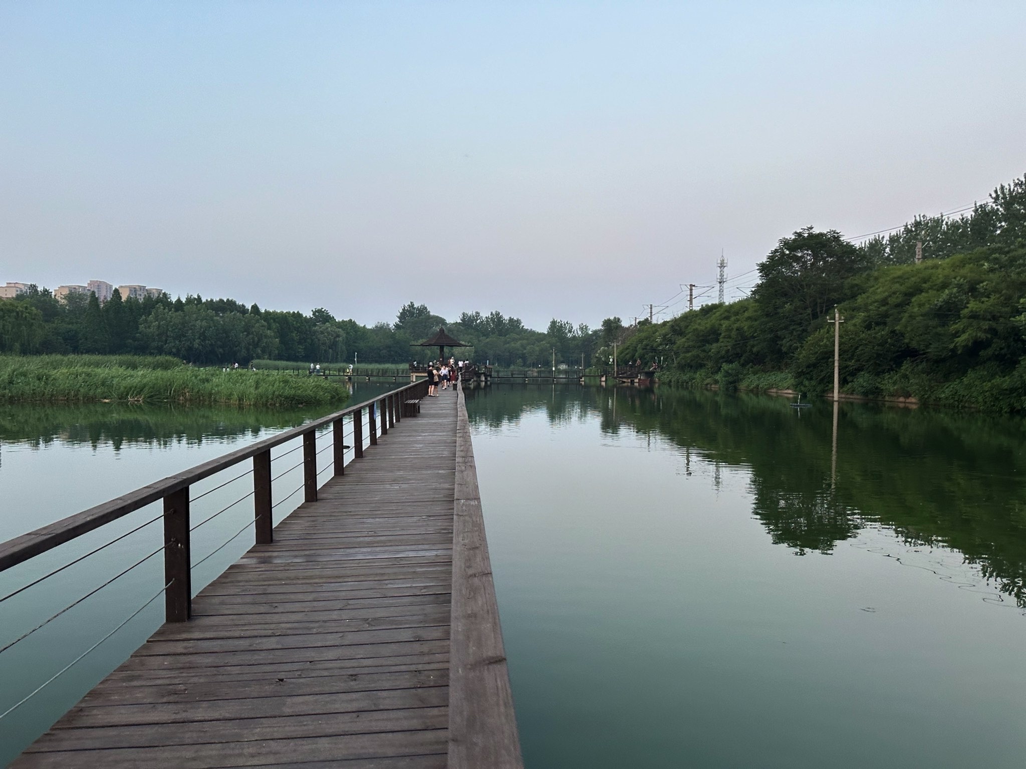前关城市中央湿地公园旅行图片 1