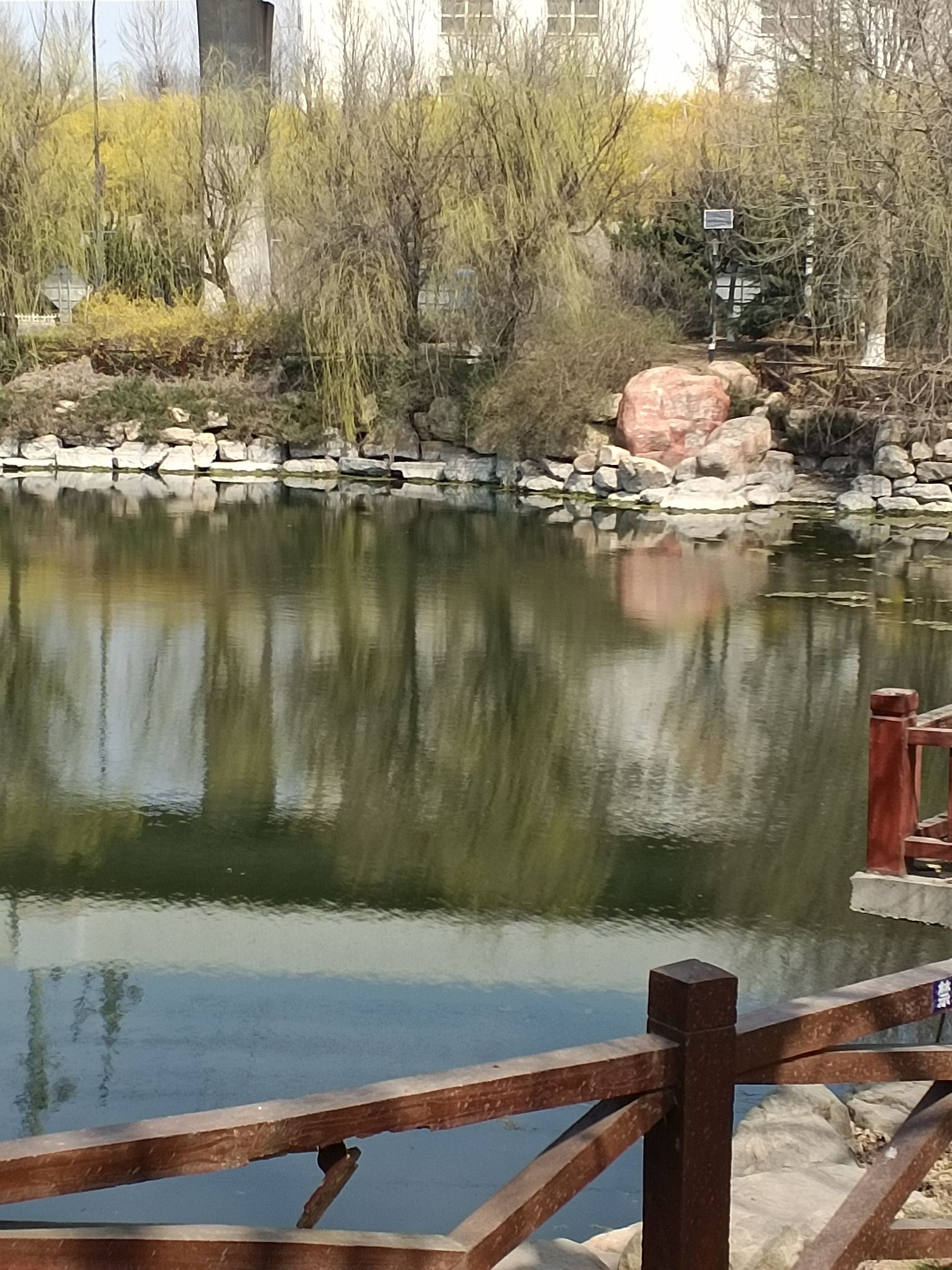 劲旅园旅行图片 2