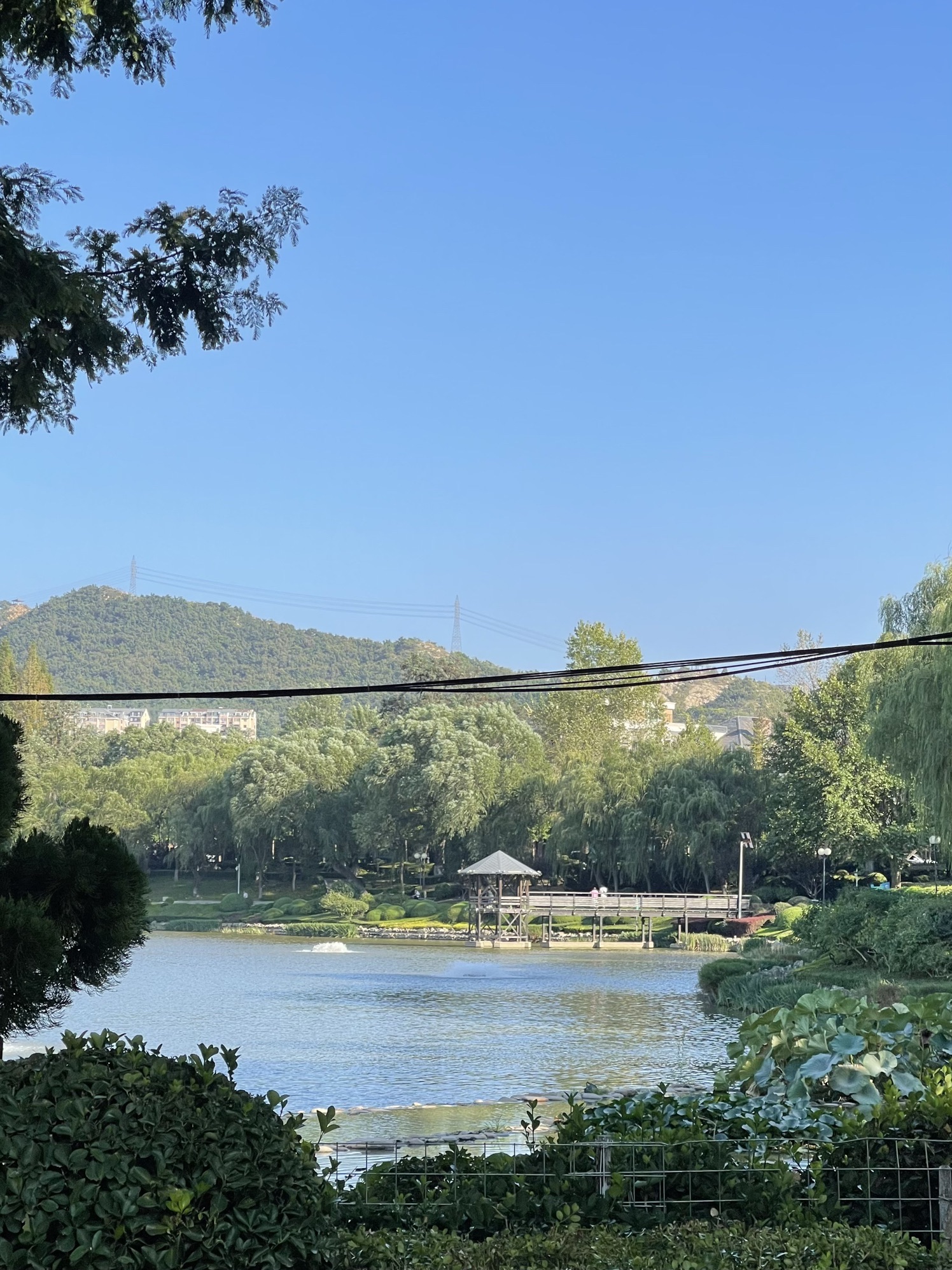 儿童公园旅行图片 1