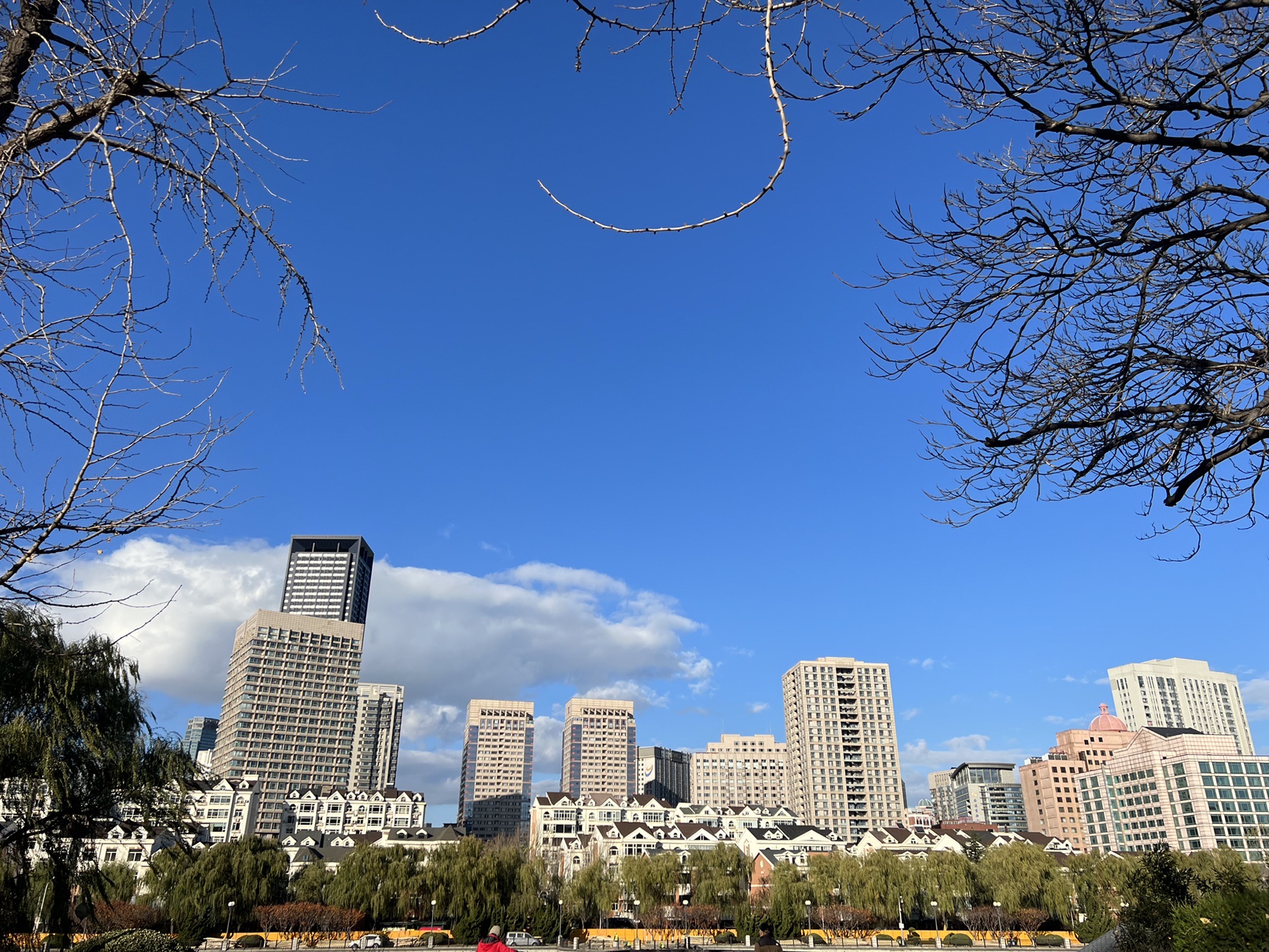 儿童公园旅行图片 2
