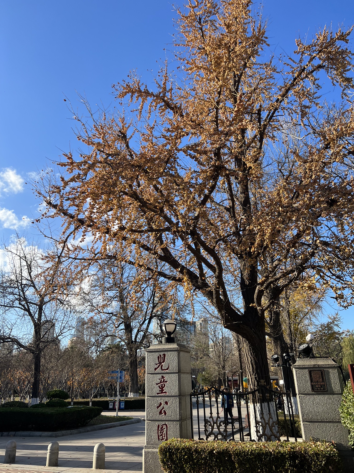 儿童公园旅行图片 1