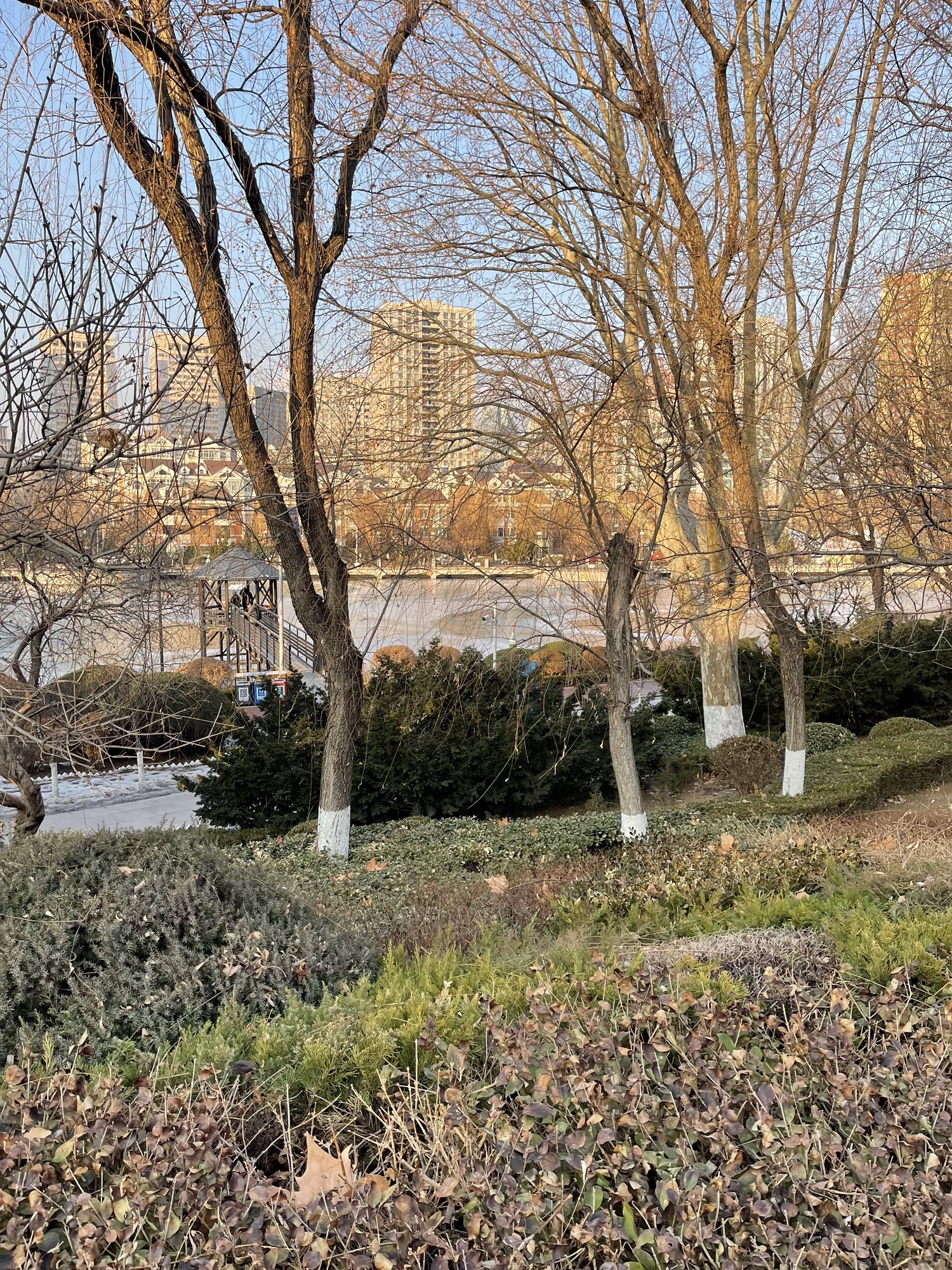 儿童公园旅行图片 3