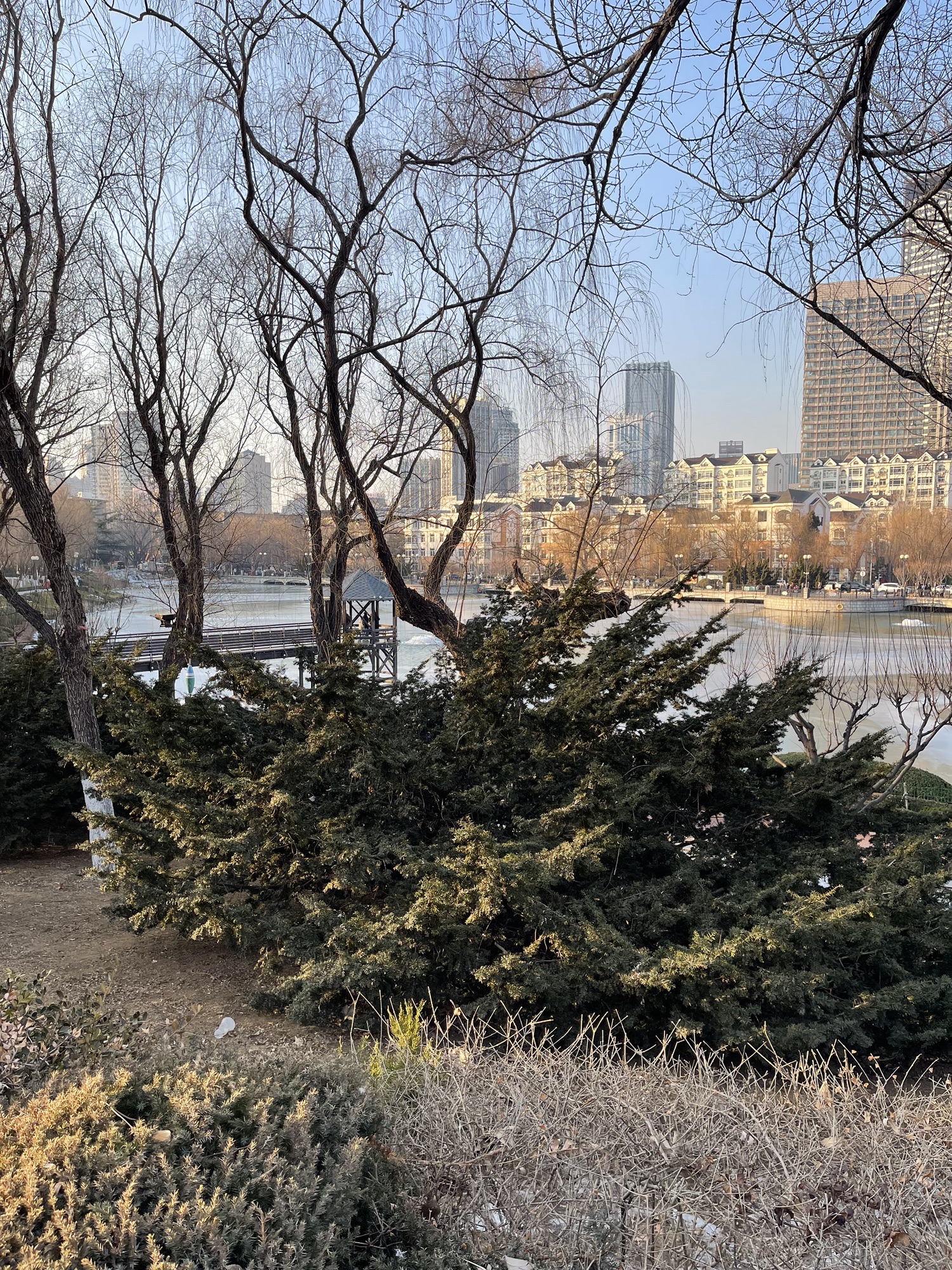 儿童公园旅行图片 1