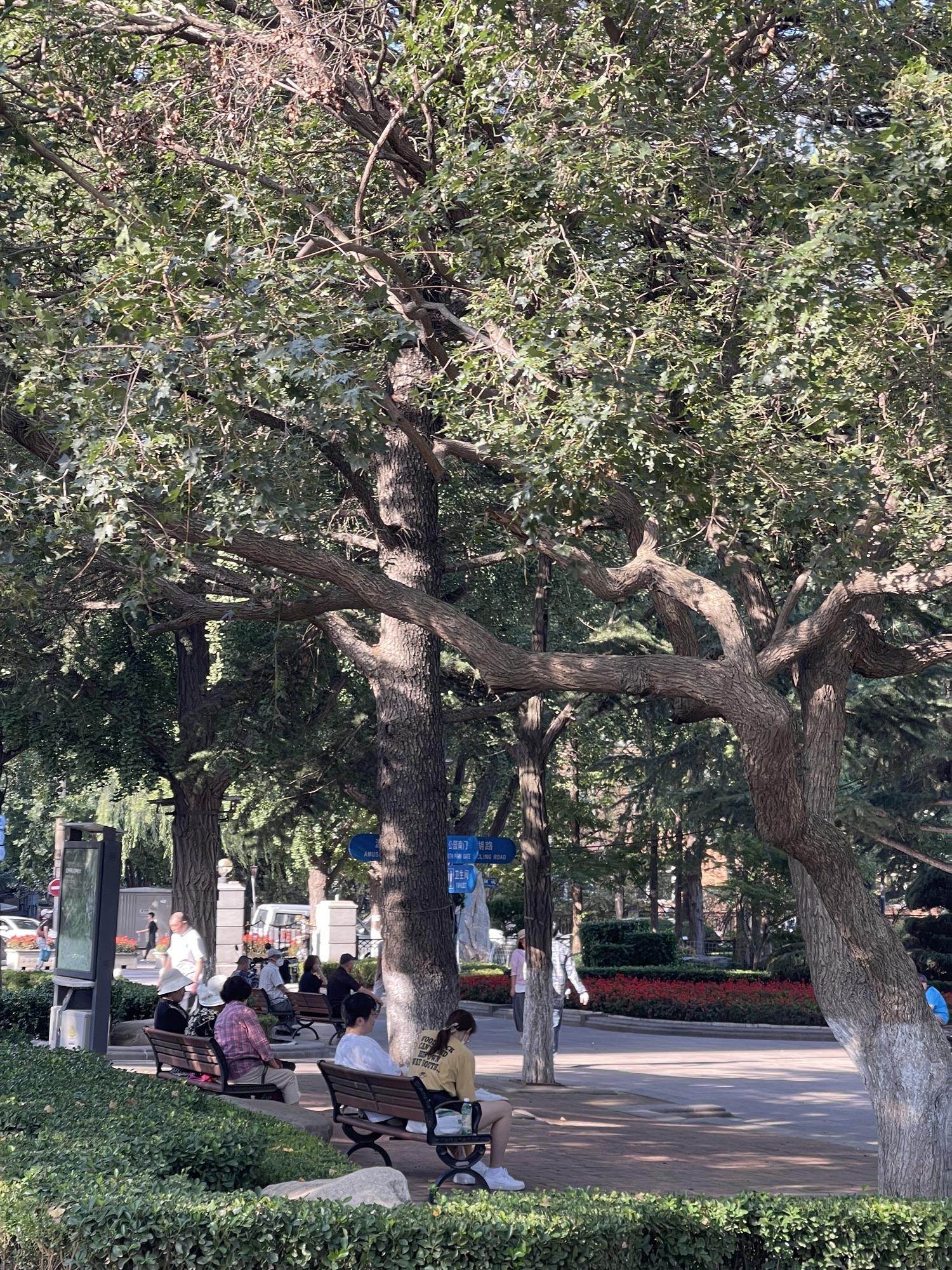 儿童公园旅行图片 2