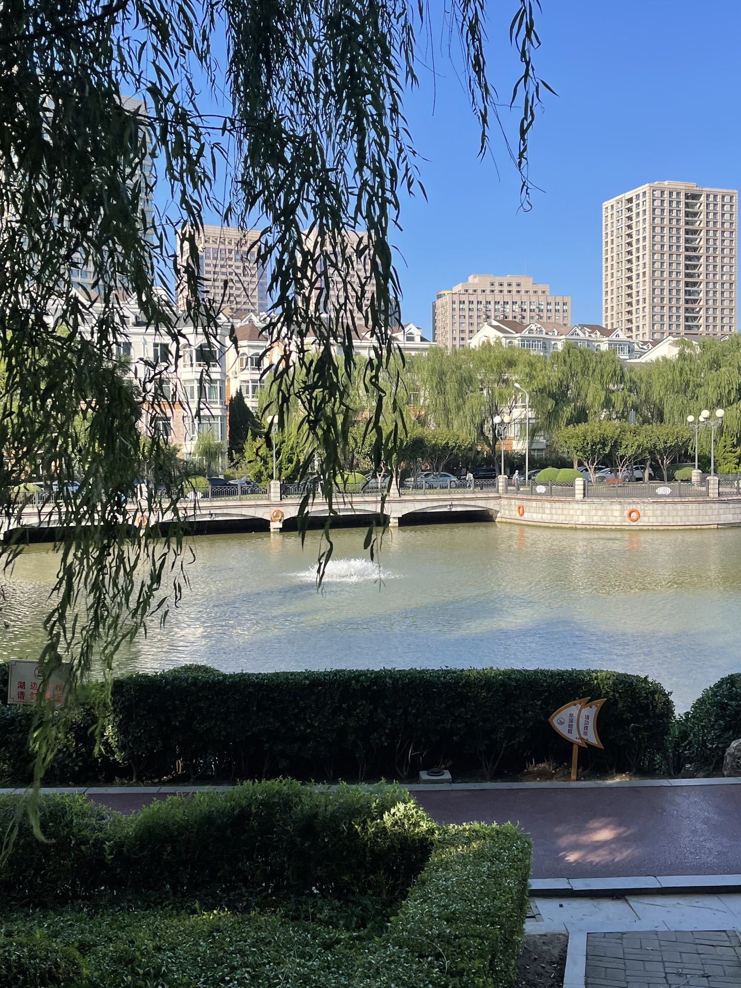 儿童公园旅行图片 3