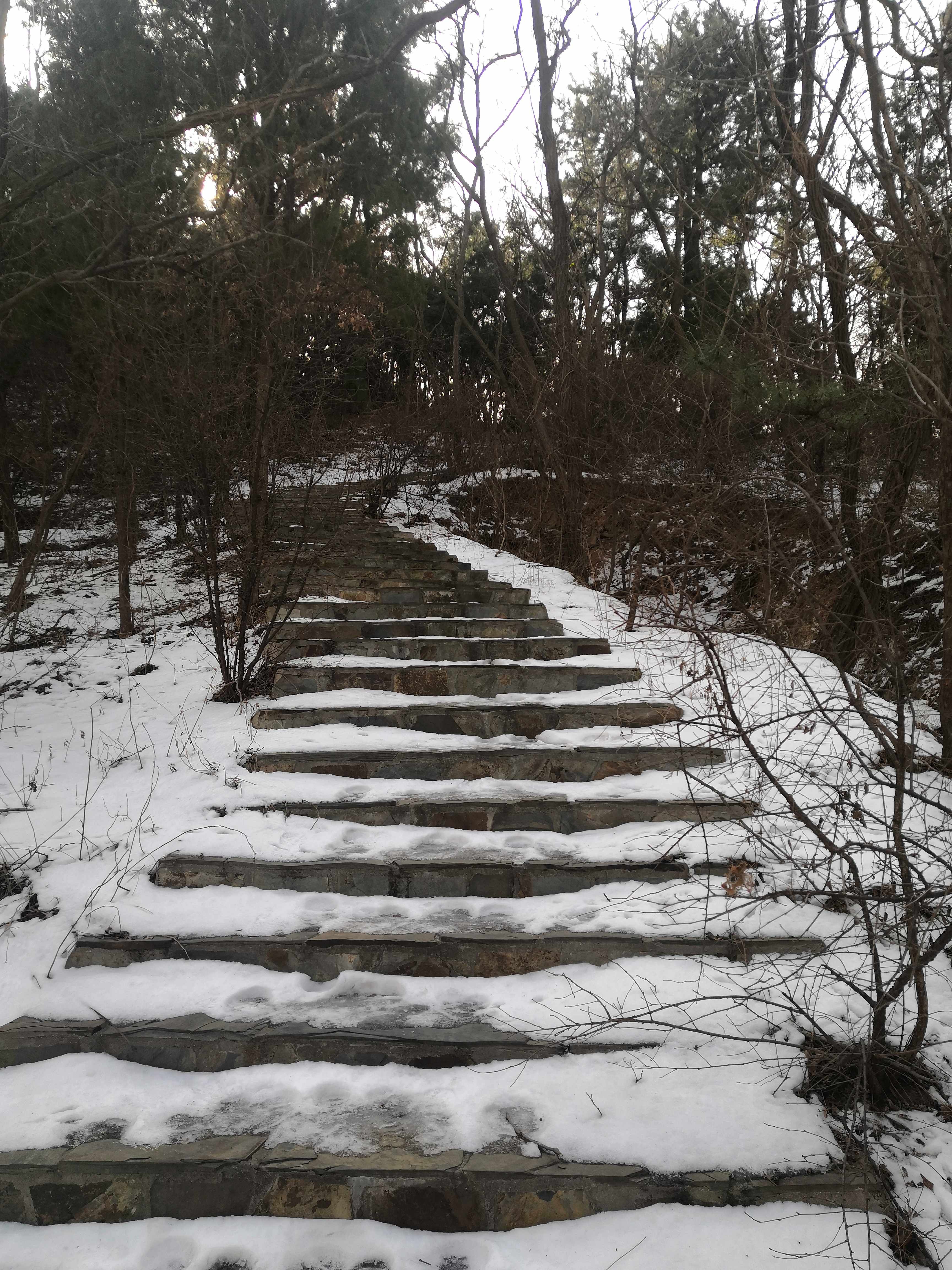 东财园旅行图片 3