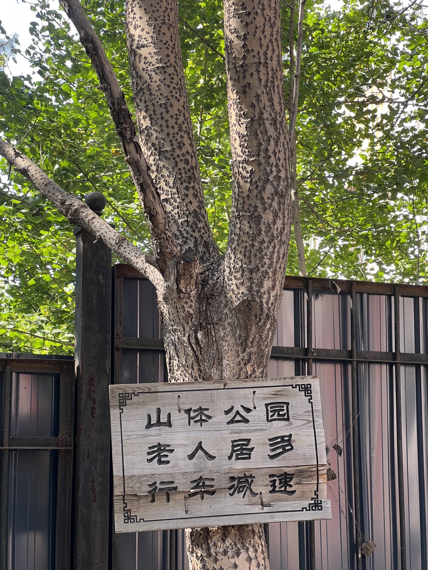 东财园旅行图片 2