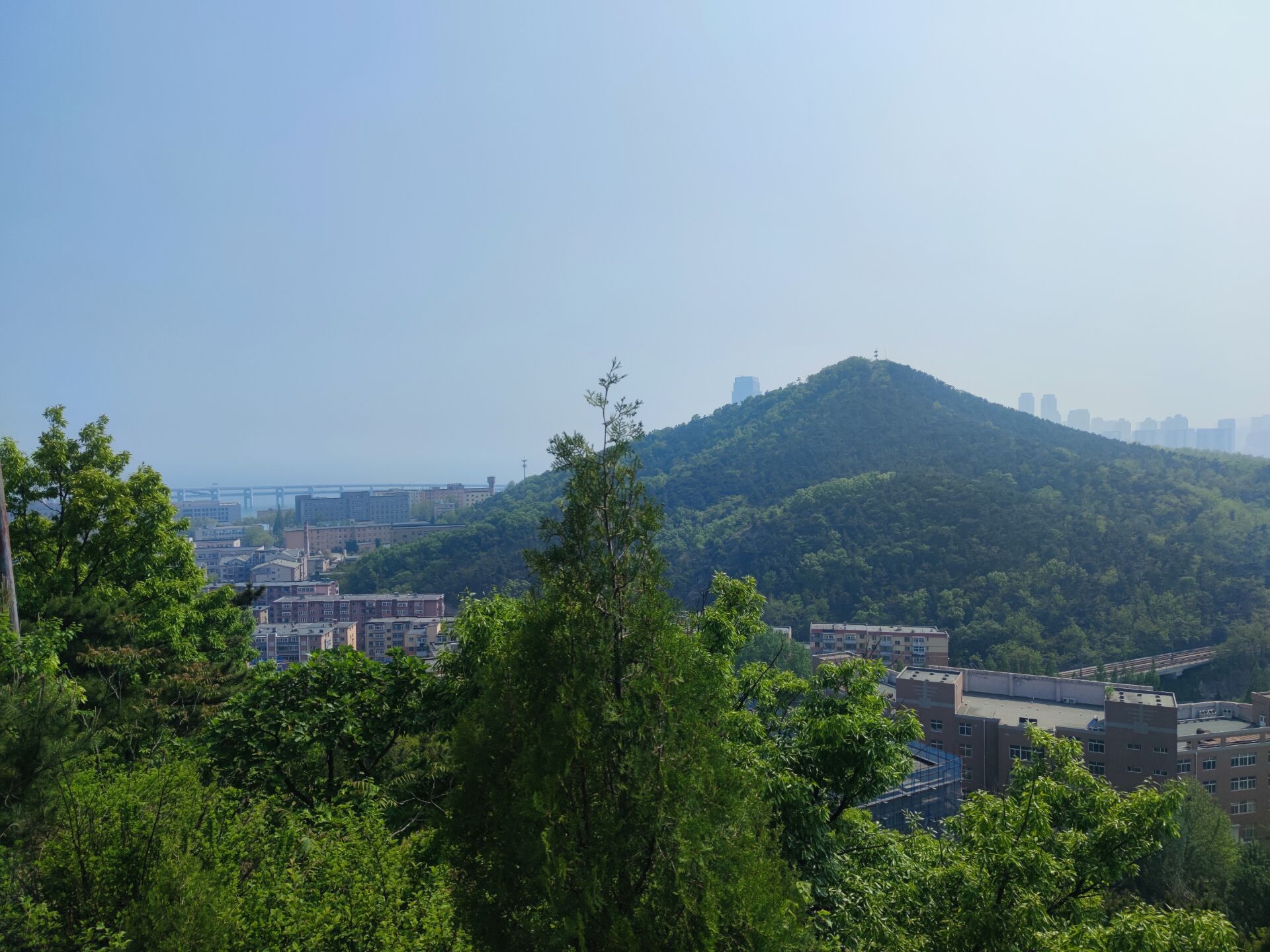 东财园旅行图片 1