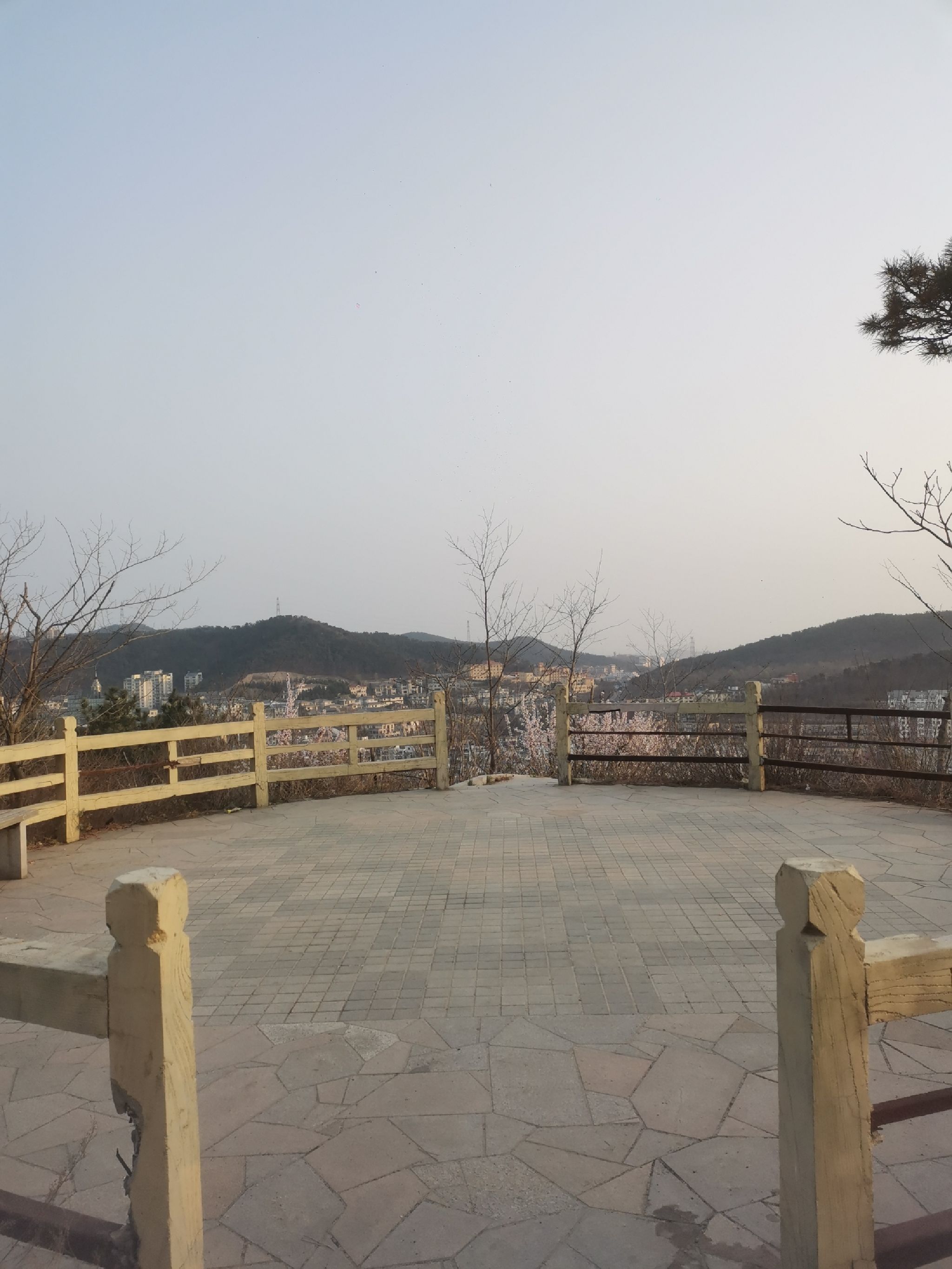 林茂健身公园旅行图片 1