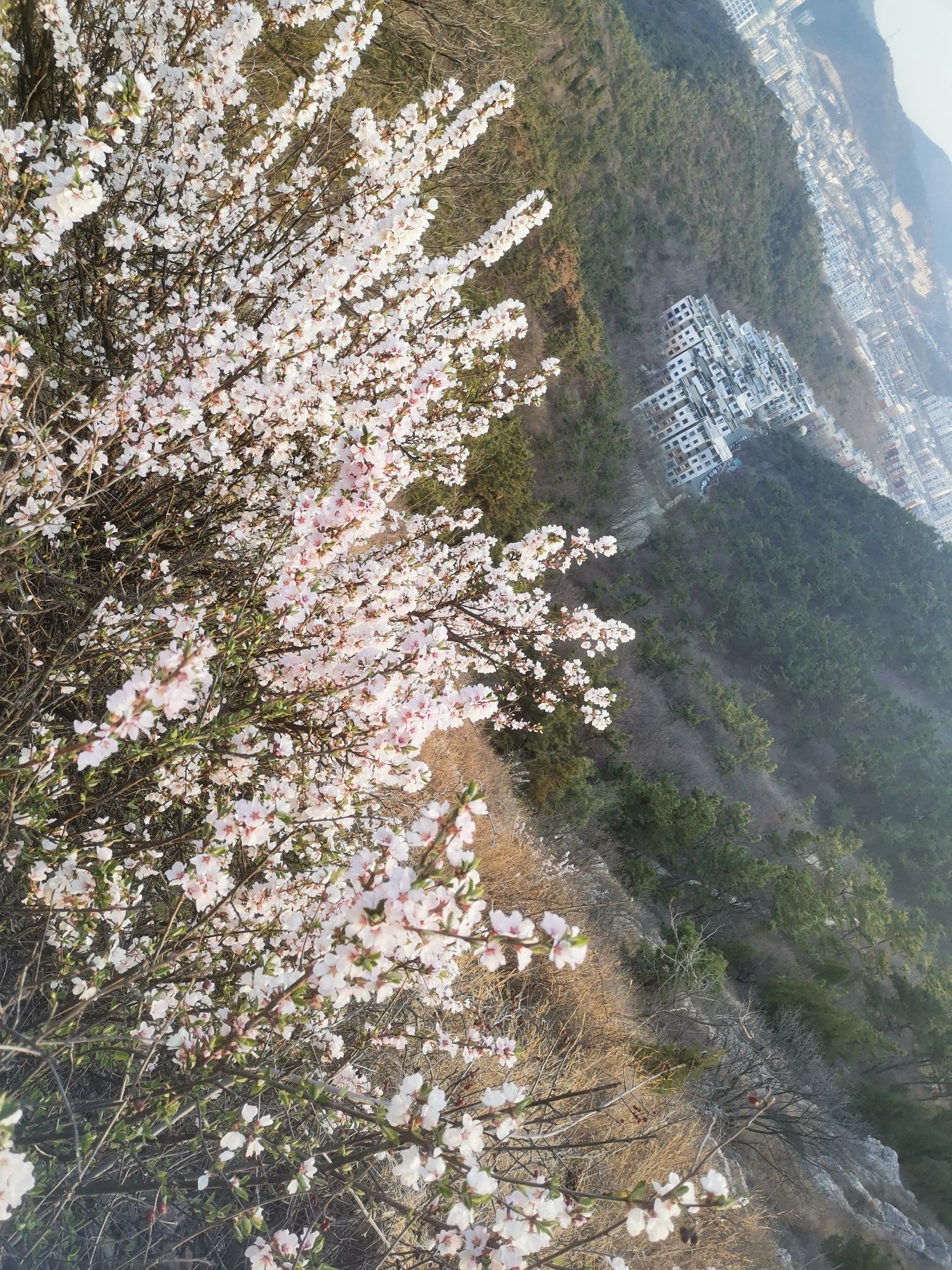 林茂健身公园旅行图片 2