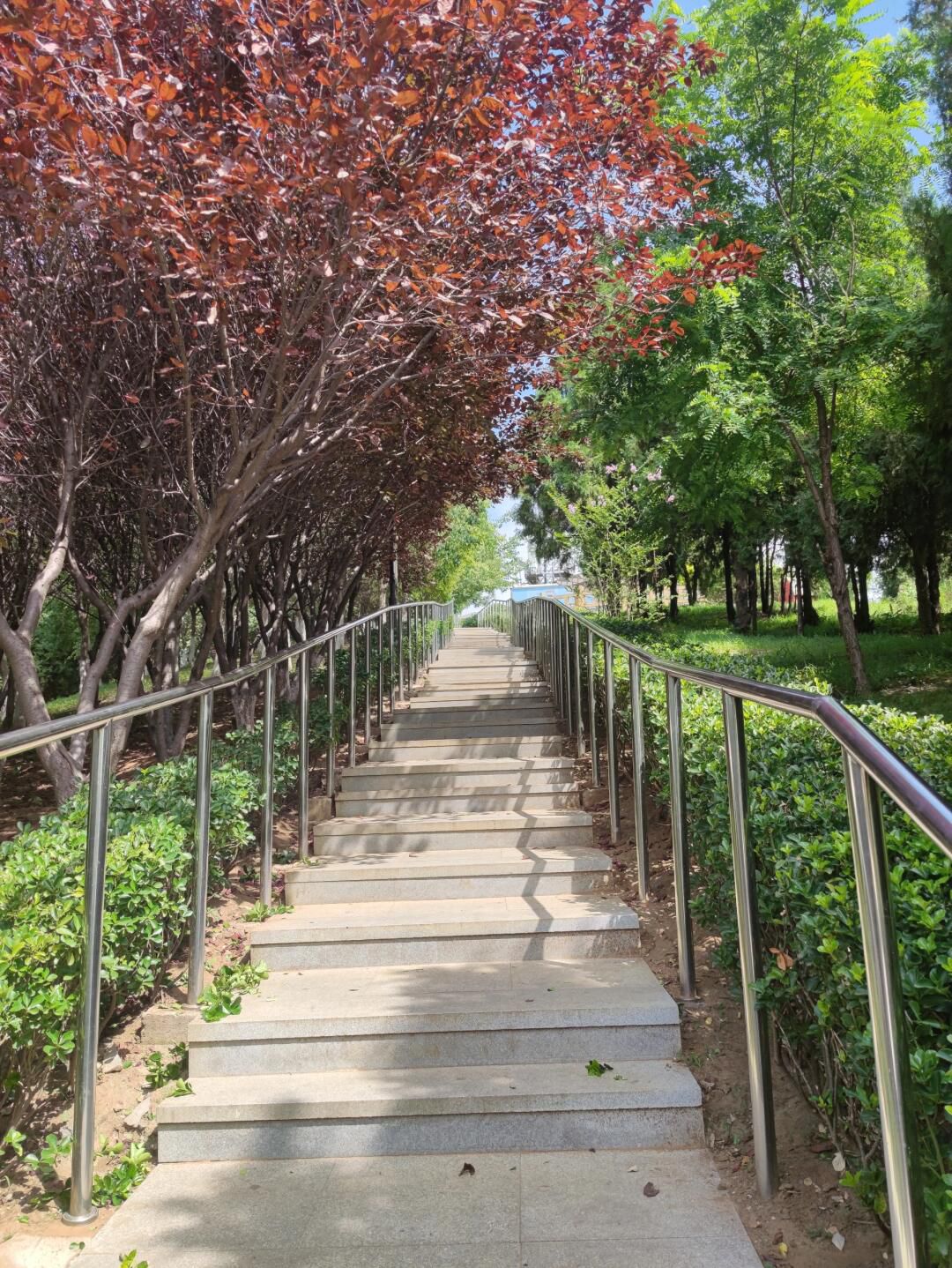 南关岭公园旅行图片 2
