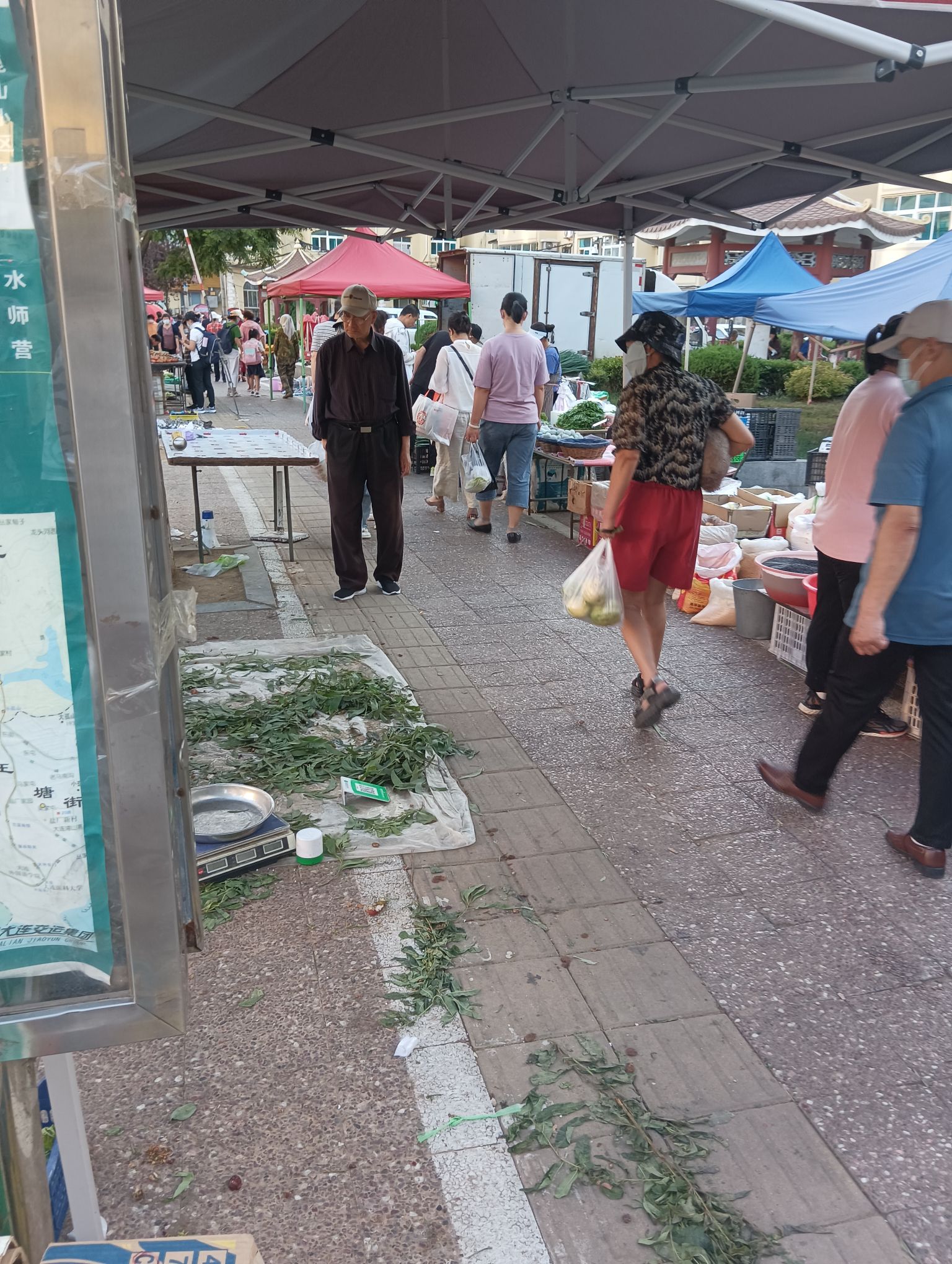 启新休闲广场旅行图片 1