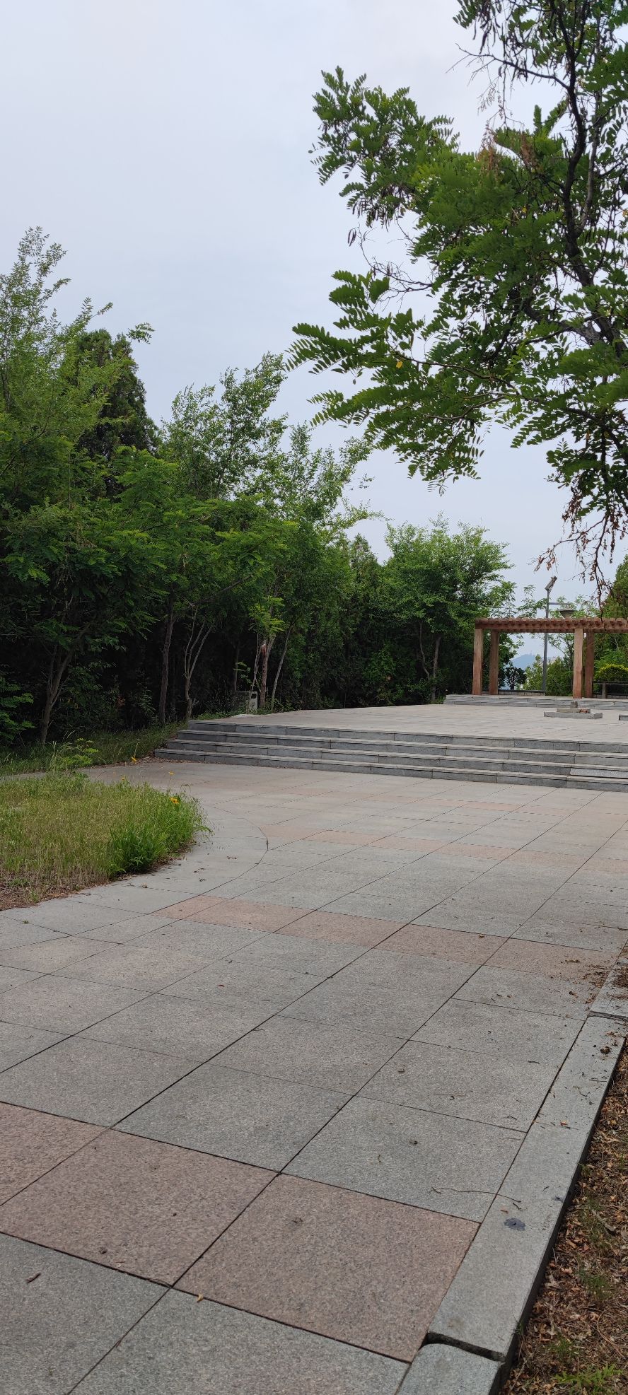 山日健康公园旅行图片 1