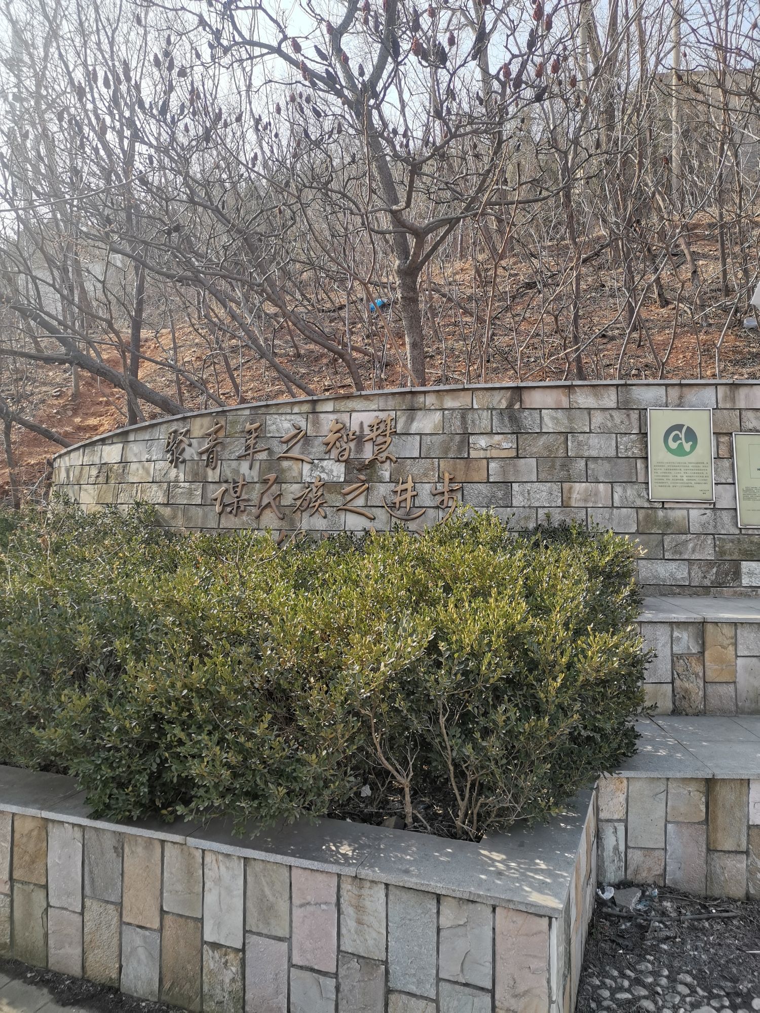 锦云青年公园旅行图片 1
