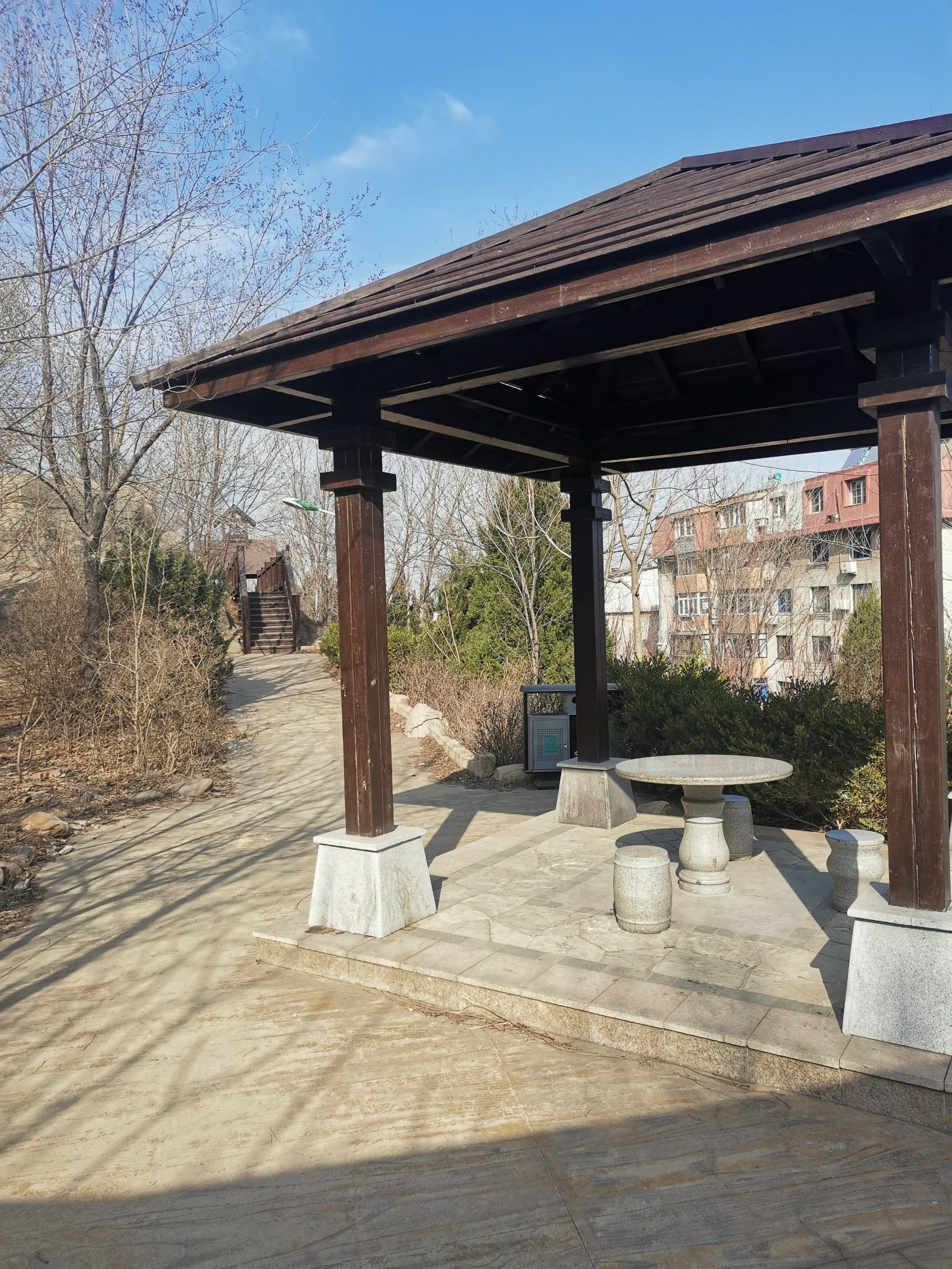 锦云青年公园旅行图片 2