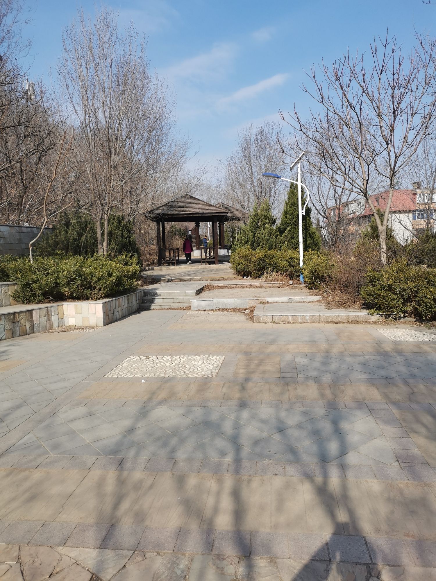 锦云青年公园旅行图片 3