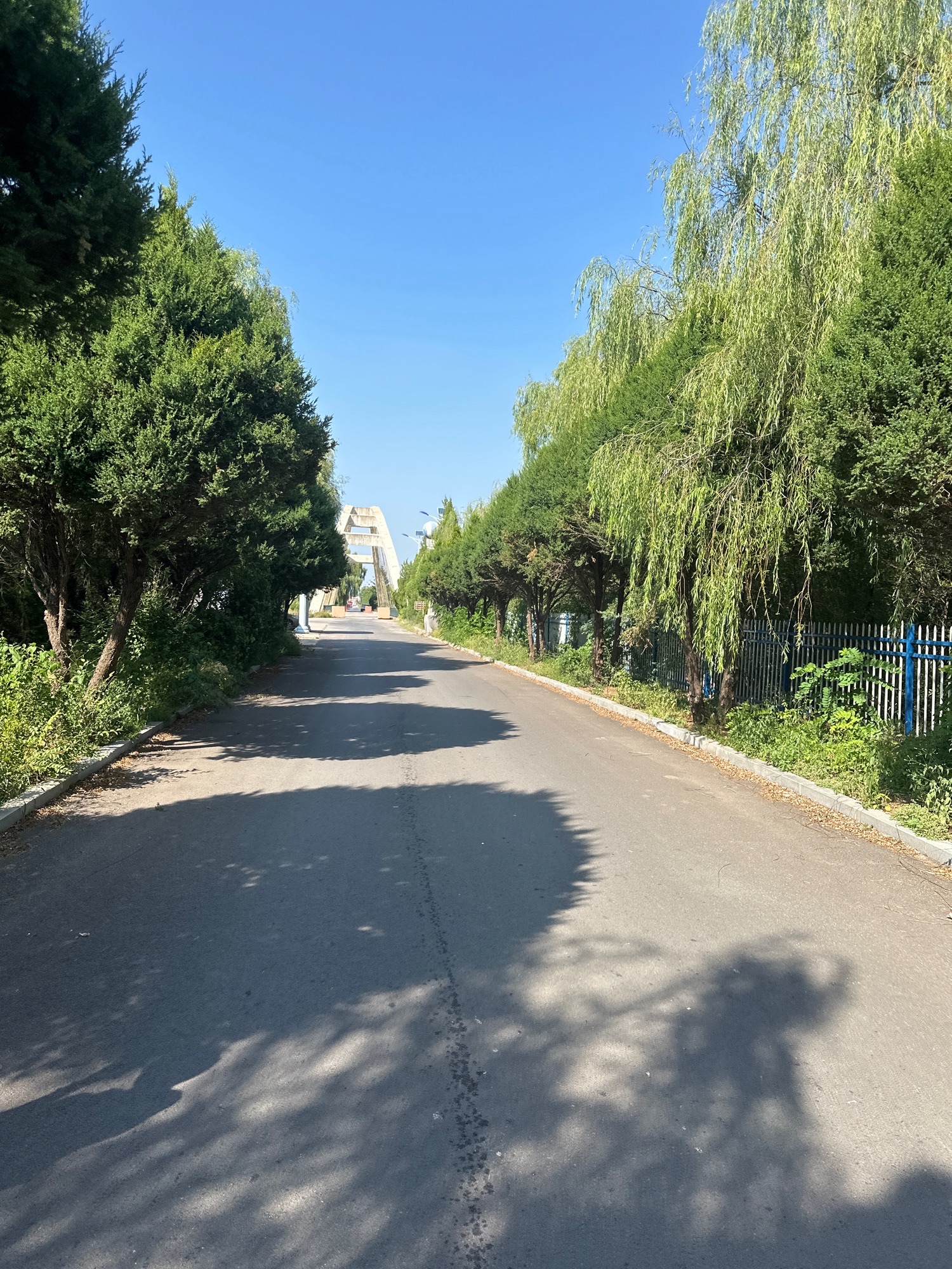 金斗湖风景区旅行图片 1