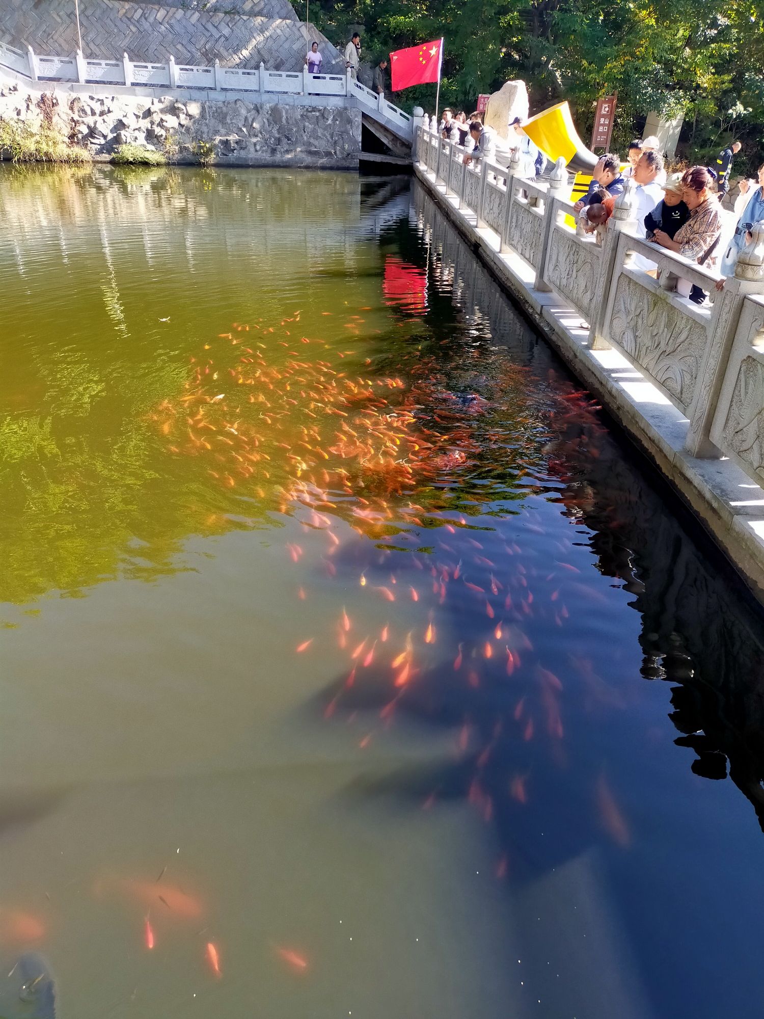 普兰店国家森林公园老帽山风景区旅行图片 1