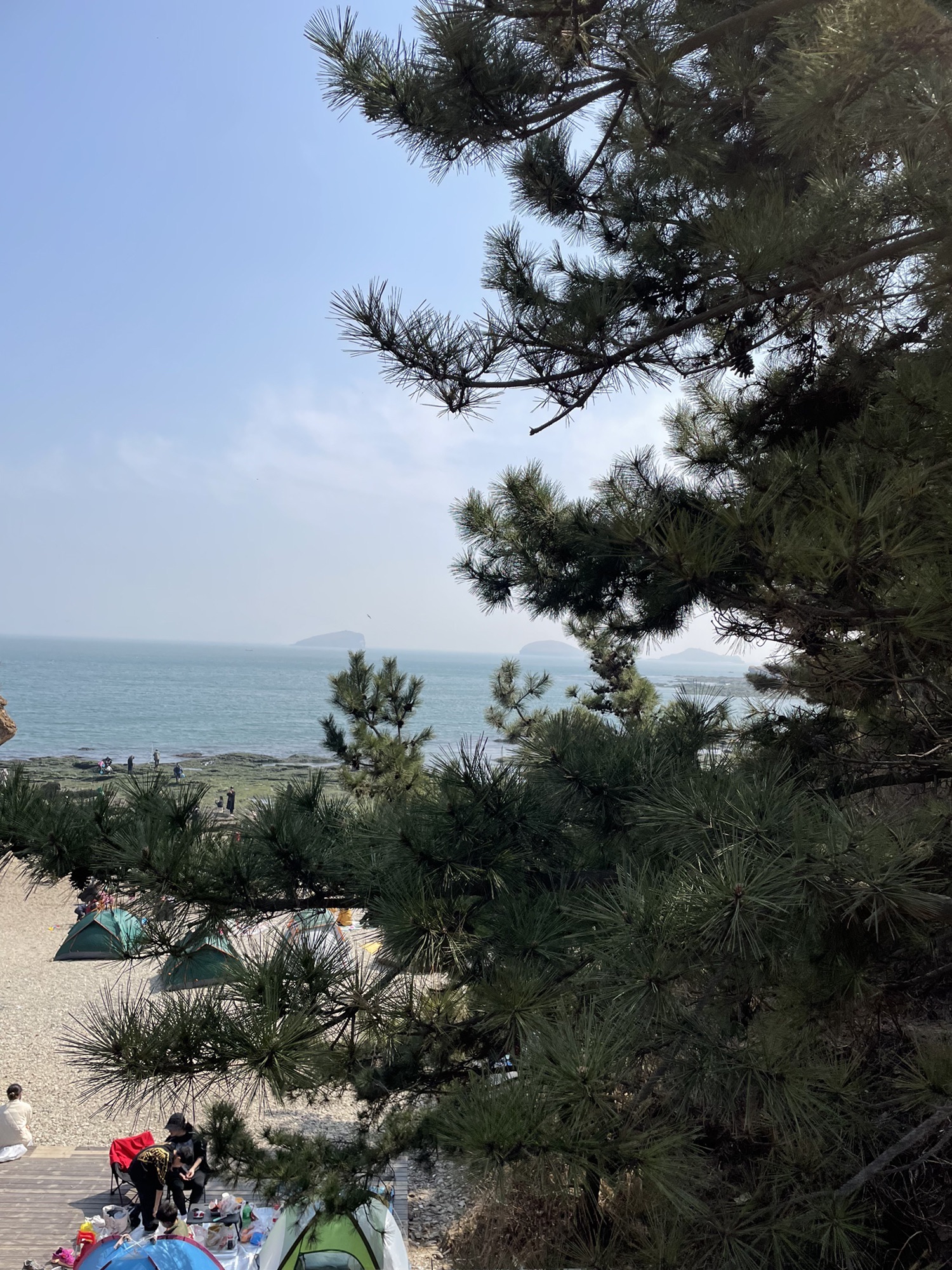 七贤岭森林公园旅行图片 3