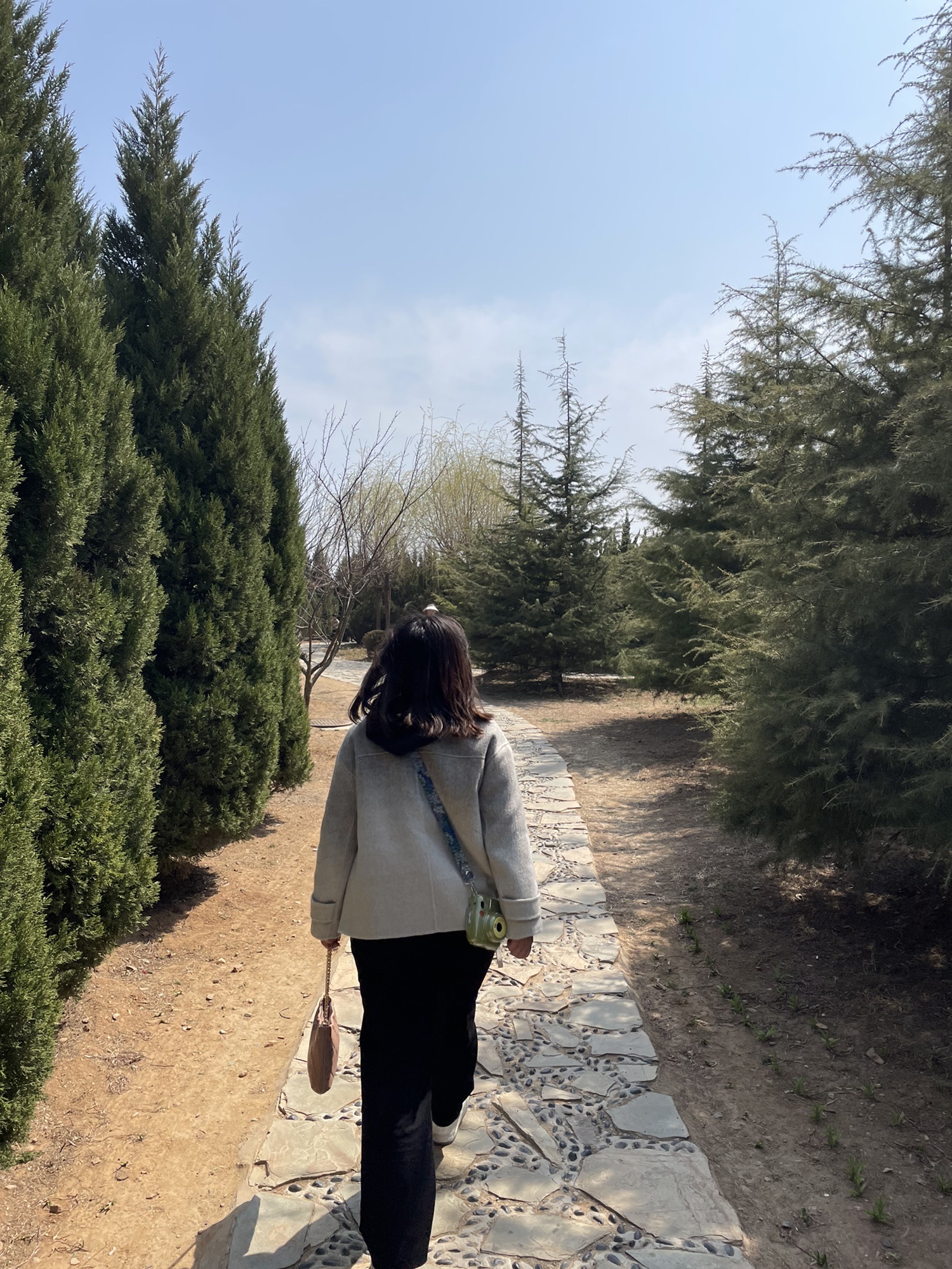 七贤岭森林公园旅行图片 2