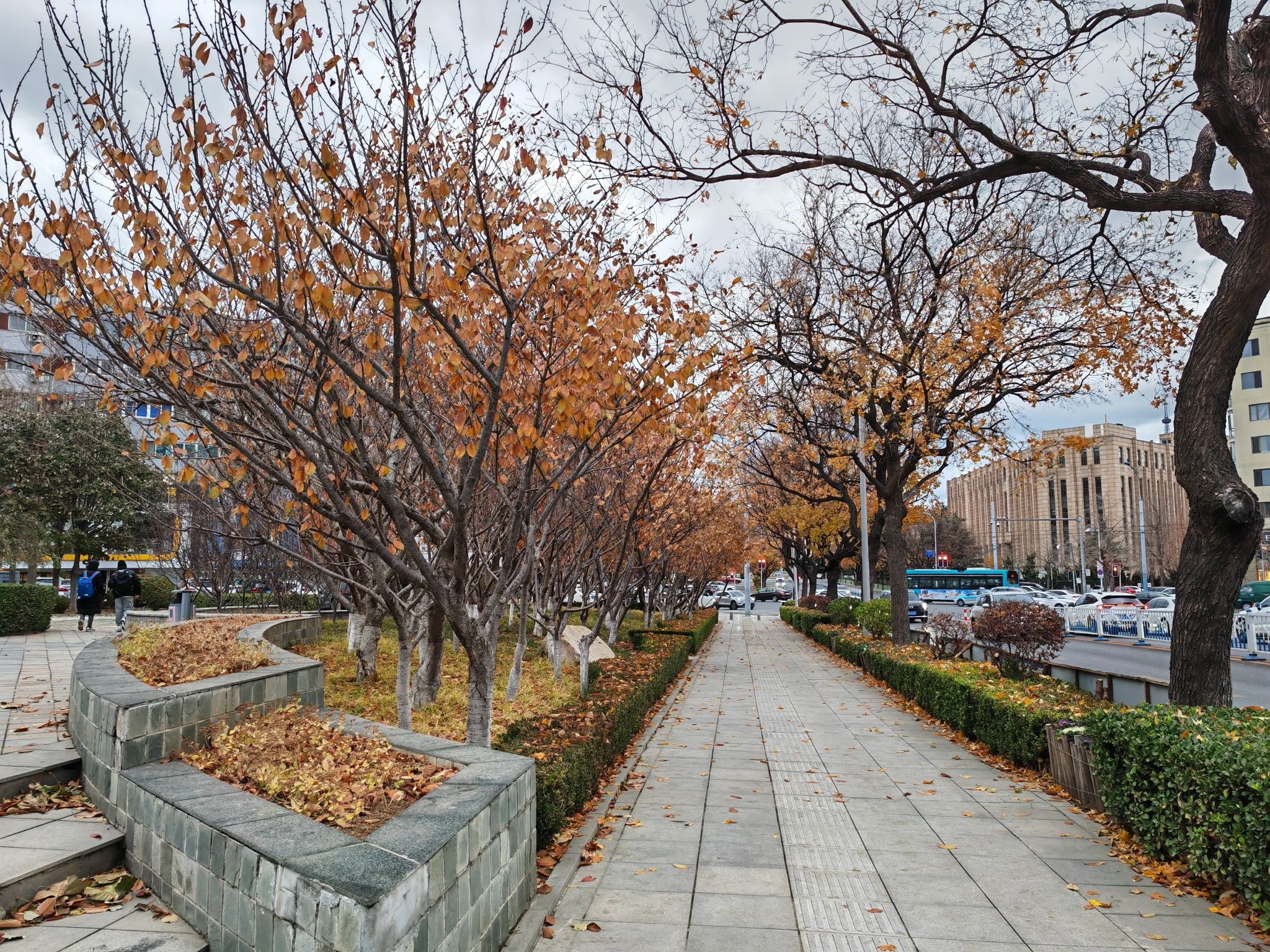 西府园旅行图片 3