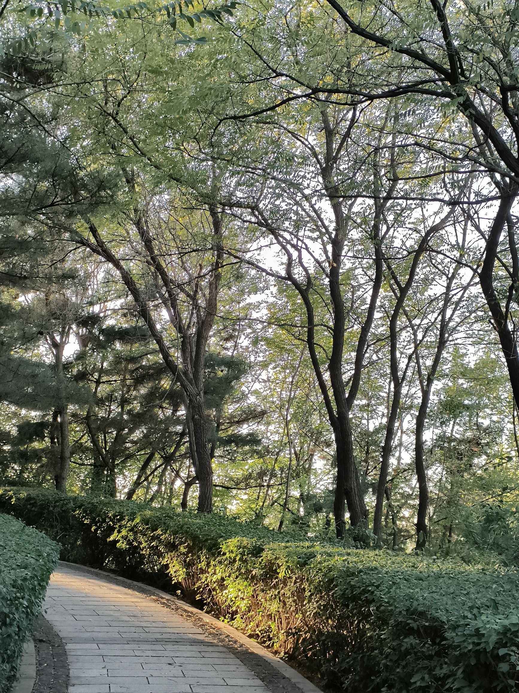 牛头山公园旅行图片 2