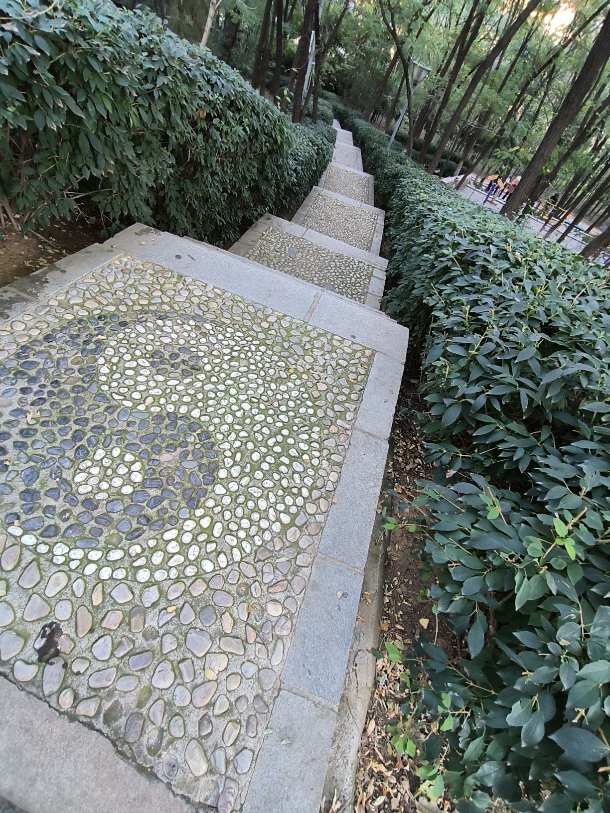 牛头山公园旅行图片 3