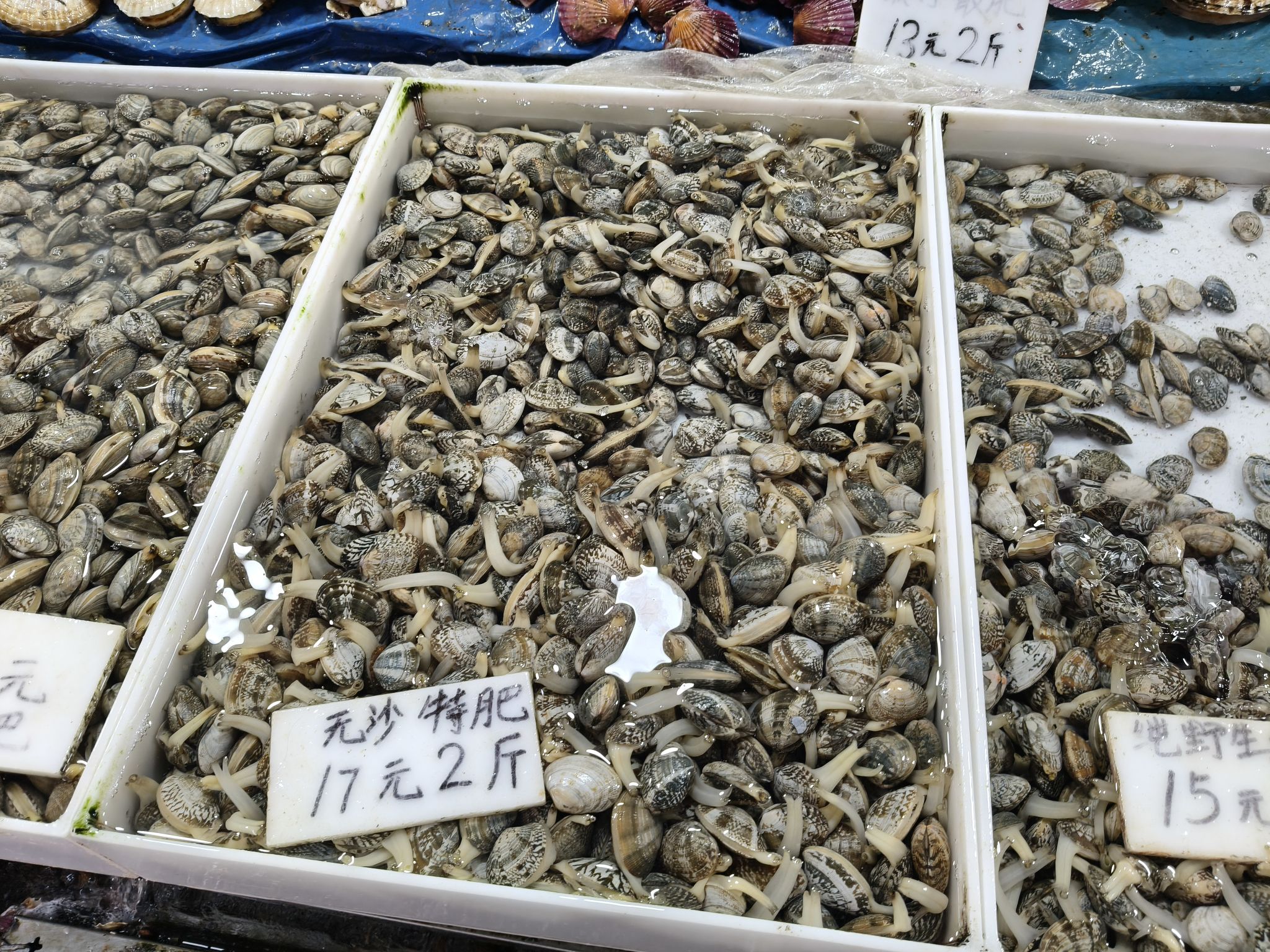 马栏广场旅行图片 3