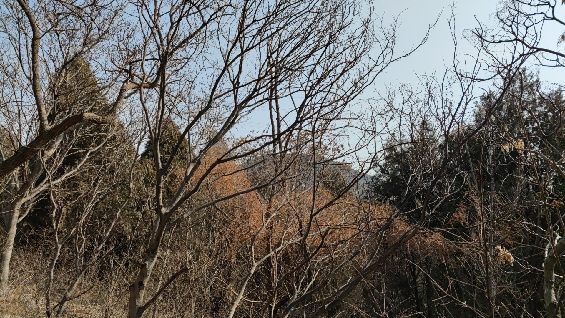 水池山公园旅行图片 2