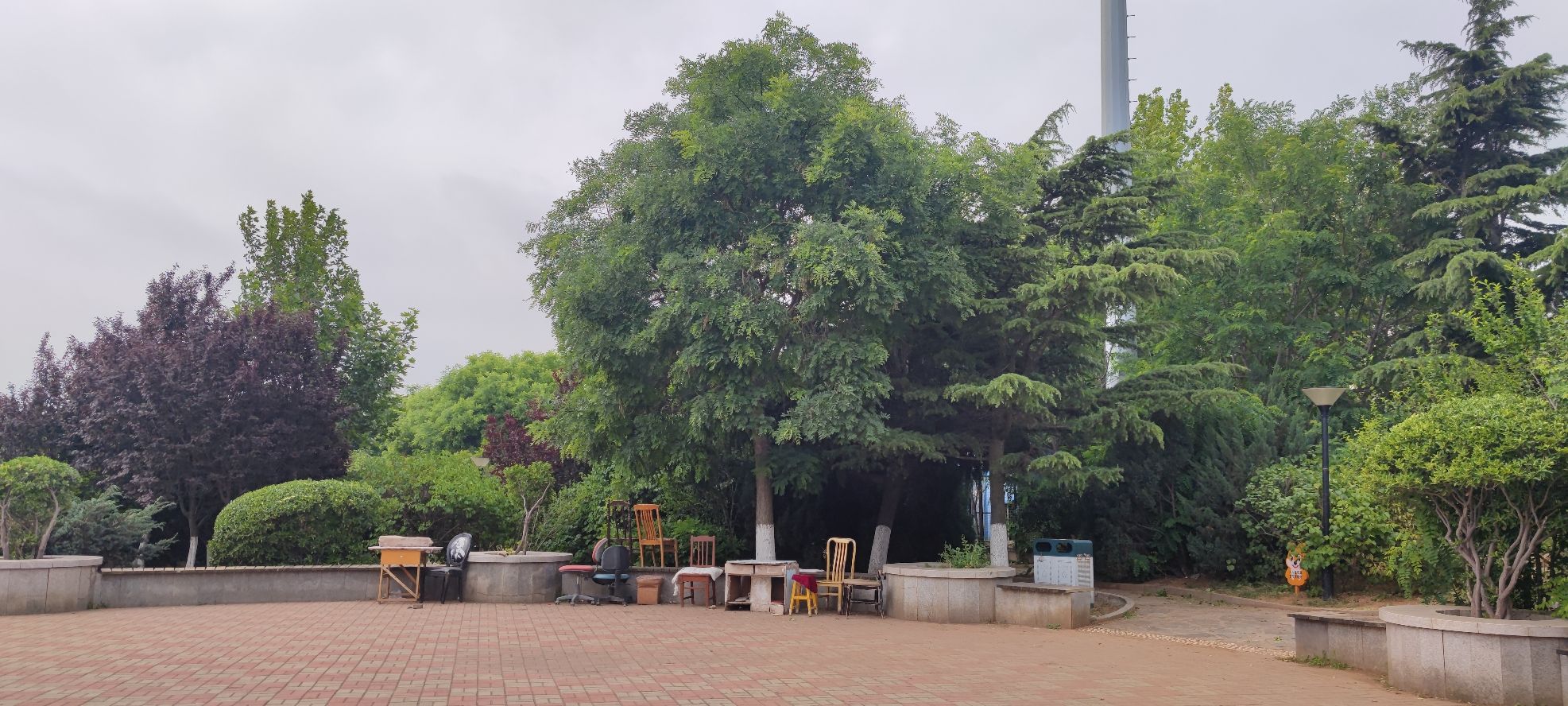 华西市民健身公园旅行图片 2