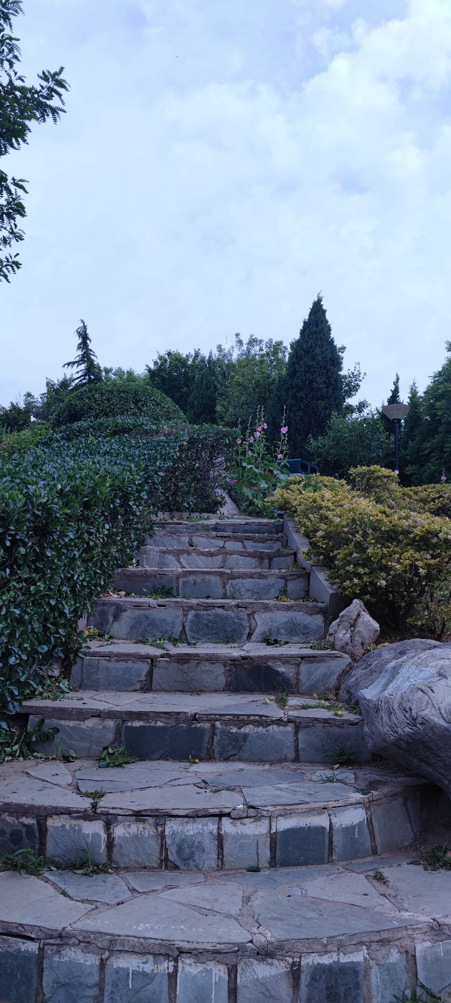 华西市民健身公园旅行图片 3