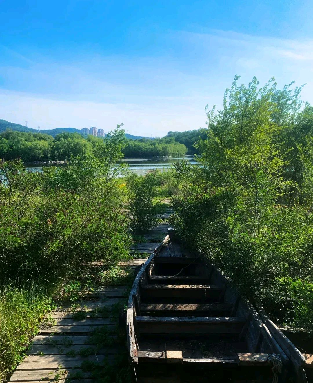 西山生态休闲公园旅行图片 3