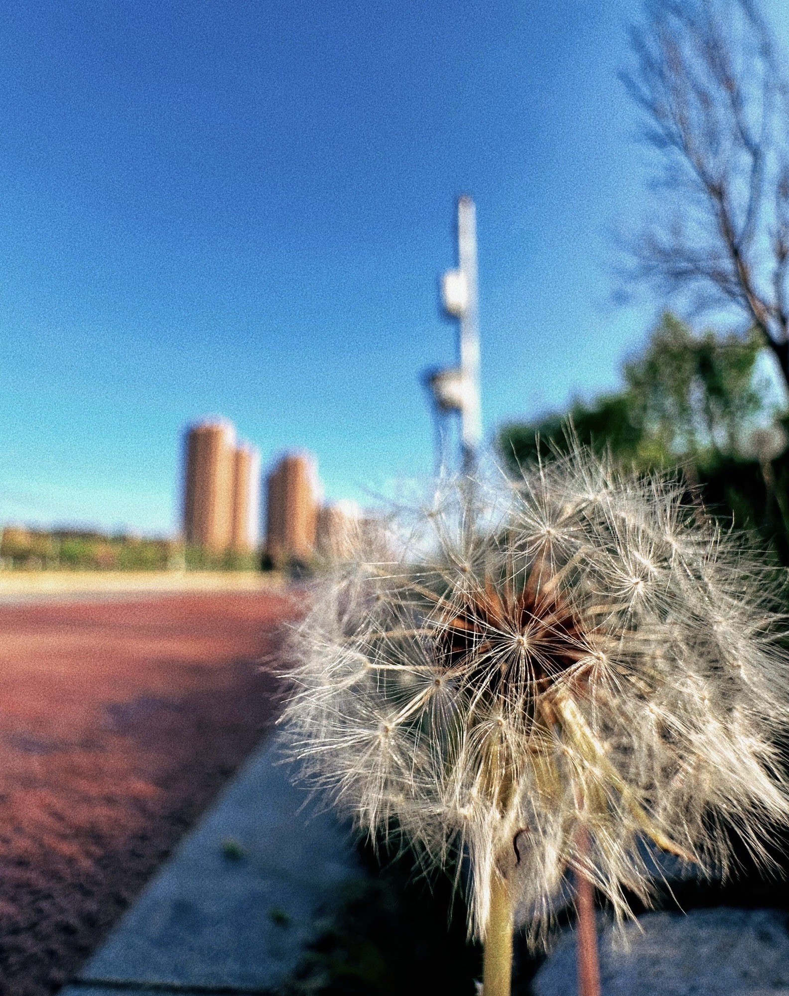 龙湖湿地公园旅行图片 3