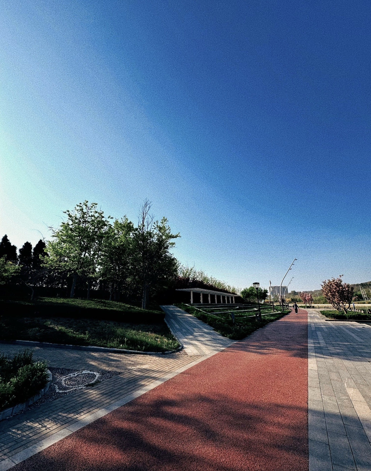 龙湖湿地公园旅行图片 1