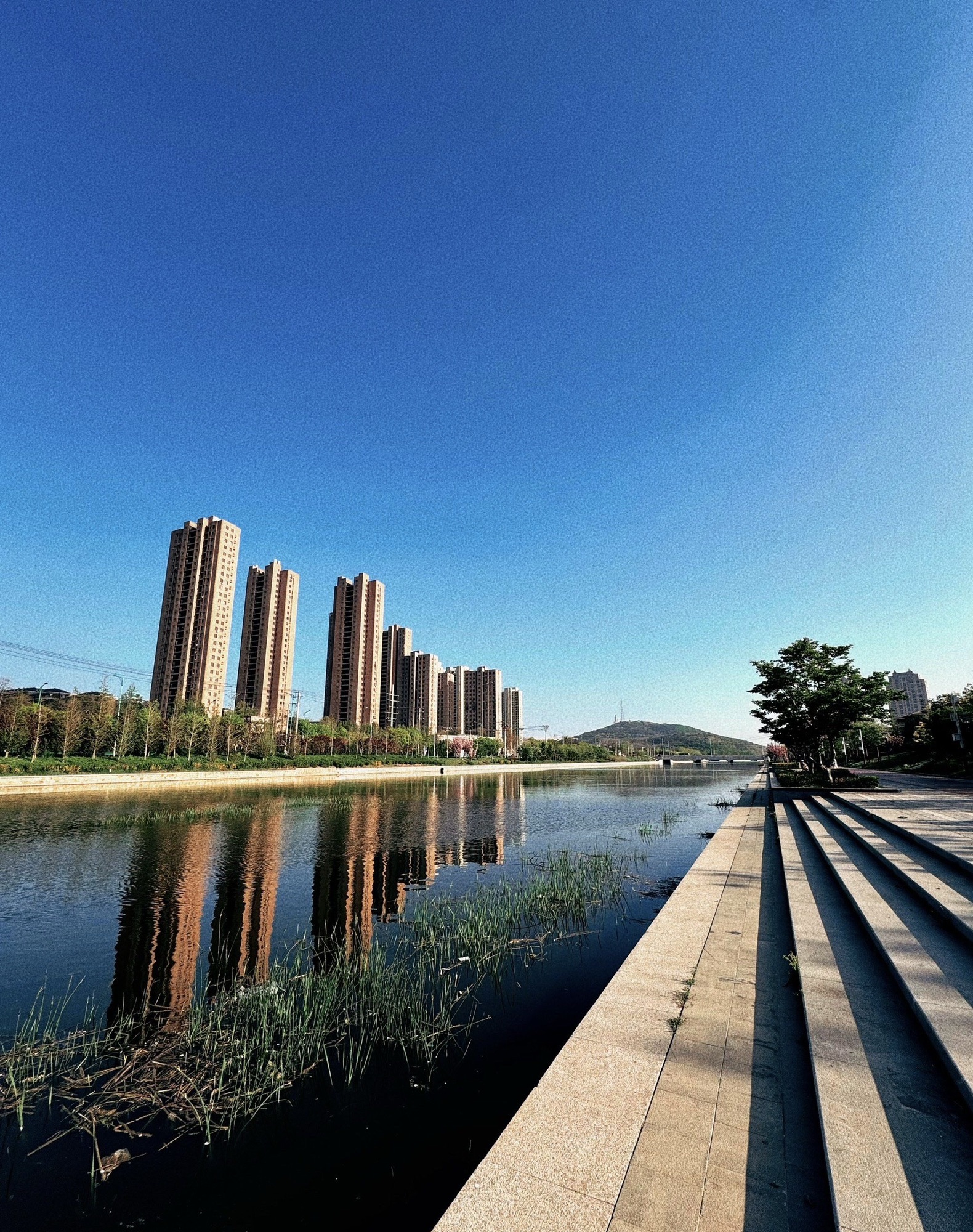 龙湖湿地公园旅行图片 2