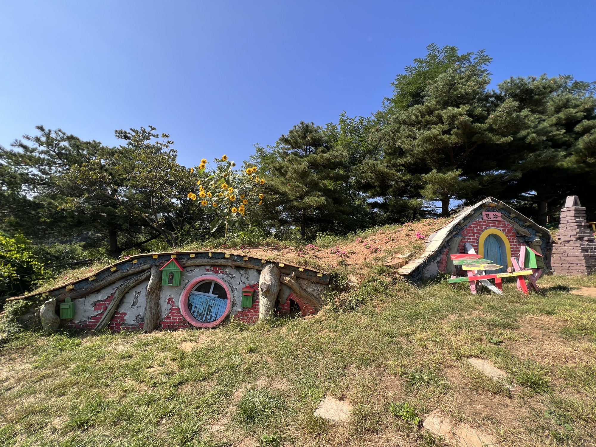 碧海山庄公园旅行图片 1