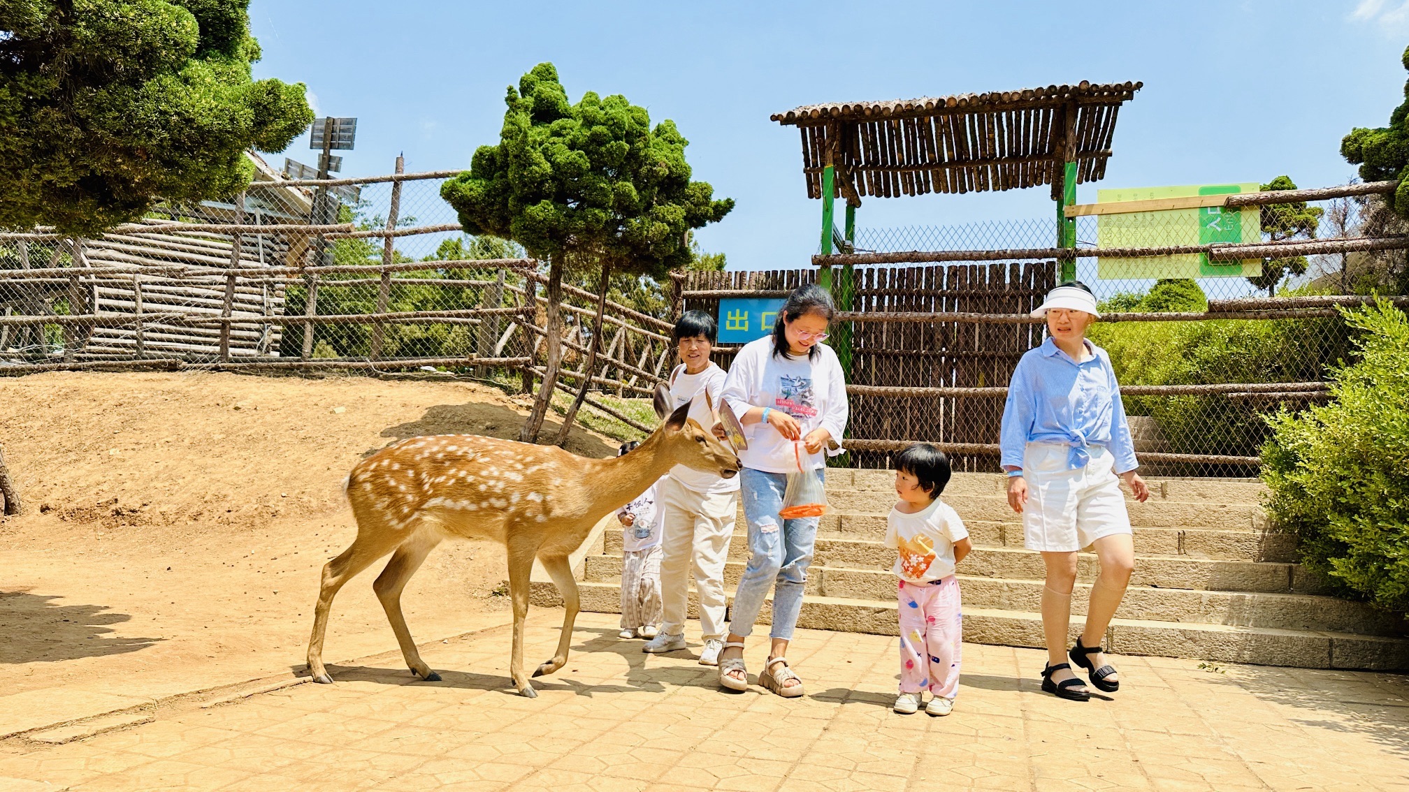 碧海山庄公园旅行图片 2