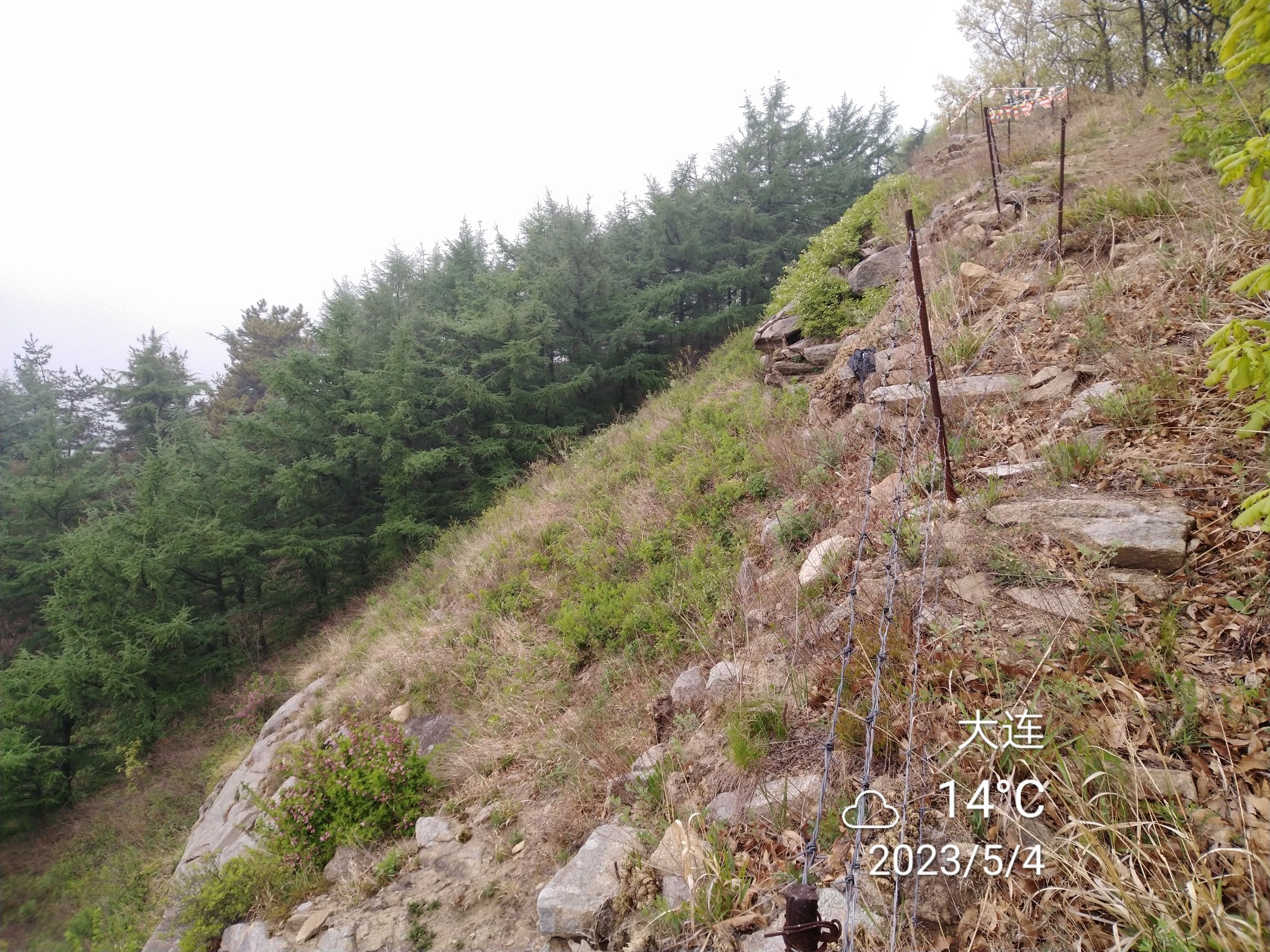 城山古城旅行图片 3