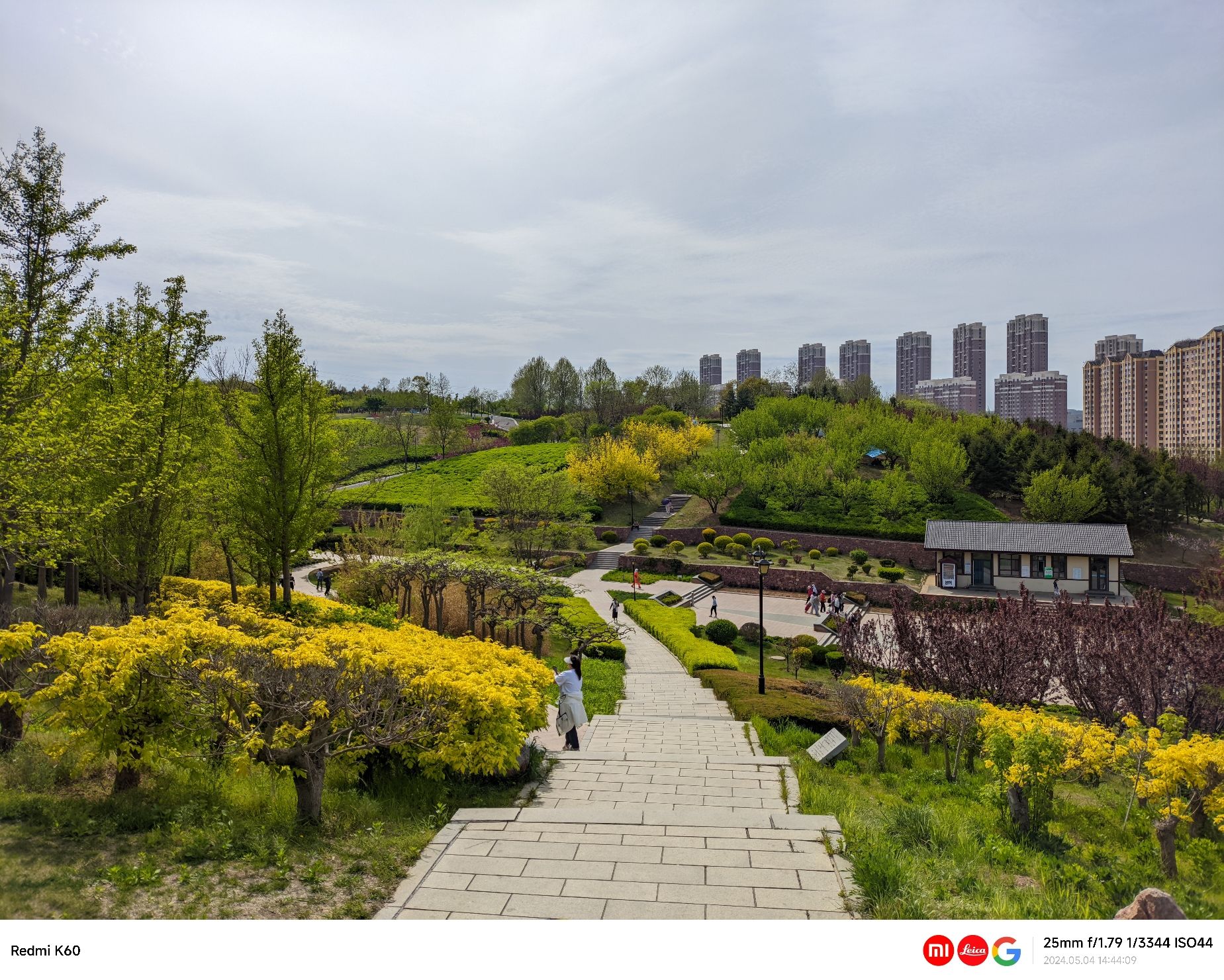 董家沟植物公园旅行图片 2